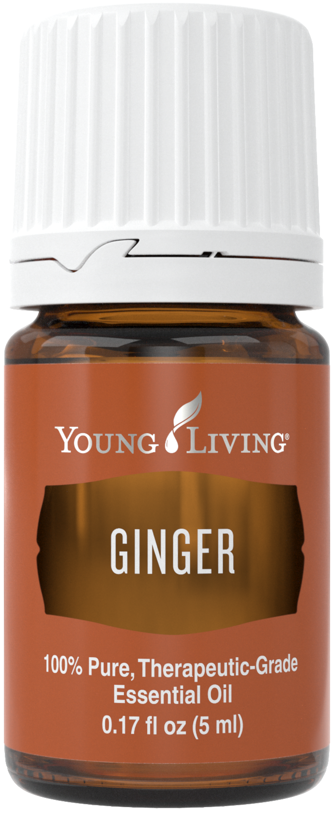 Ginger 5ml Silo.png