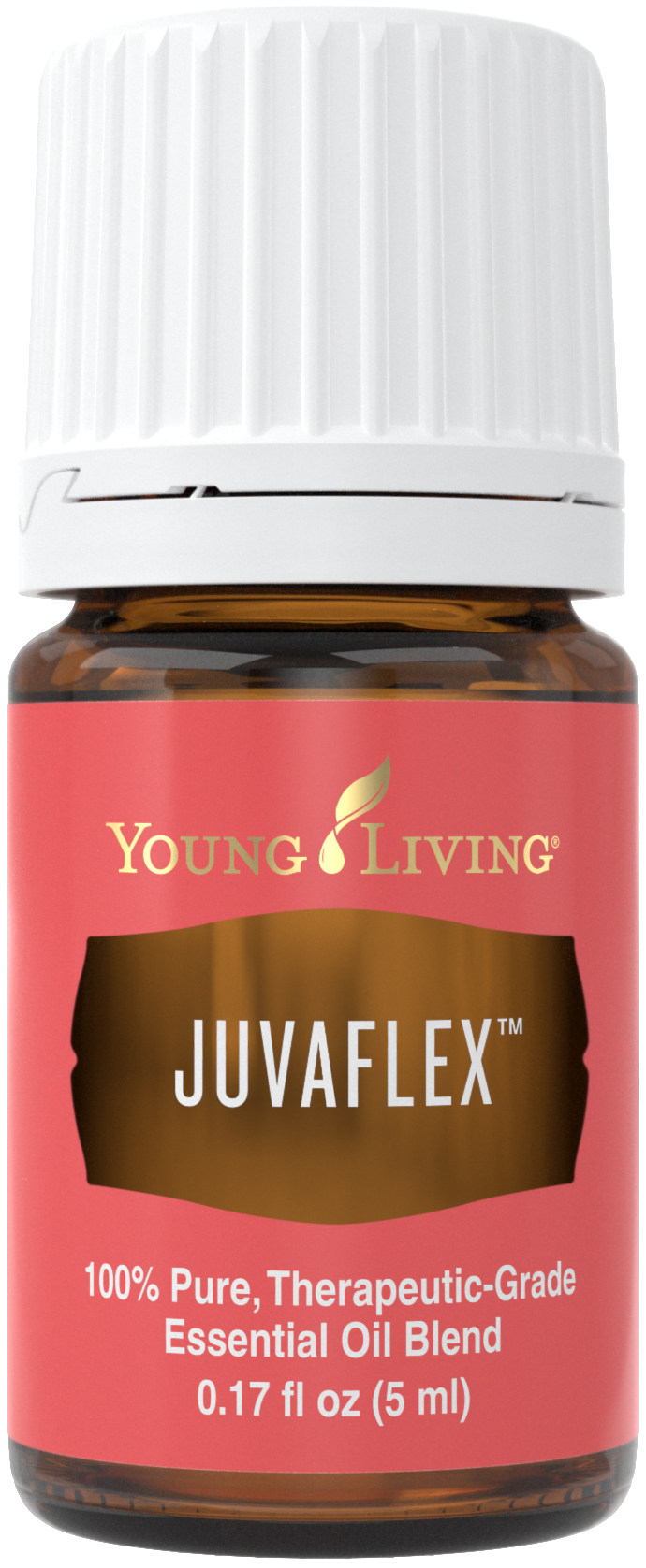 JuvaFlex 5ml Silo.png