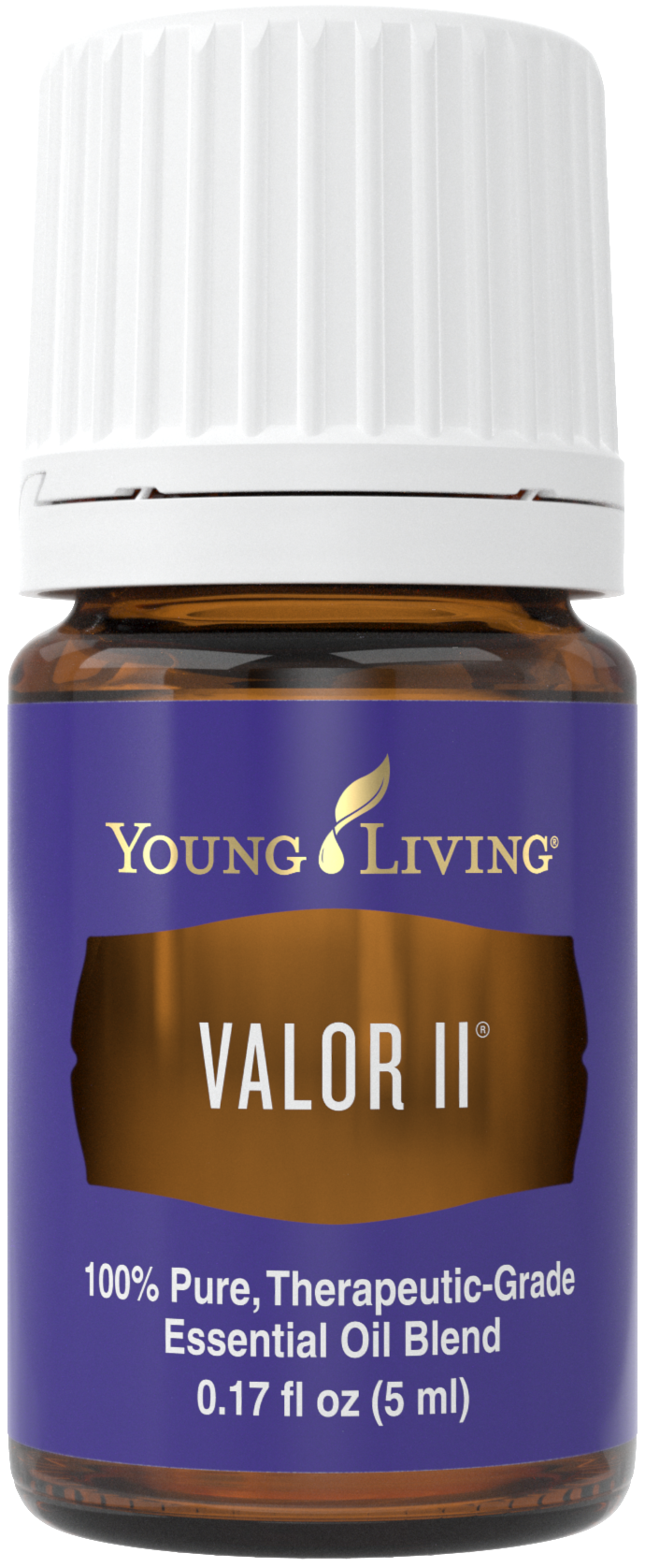 Valor II 5ml Silo.png