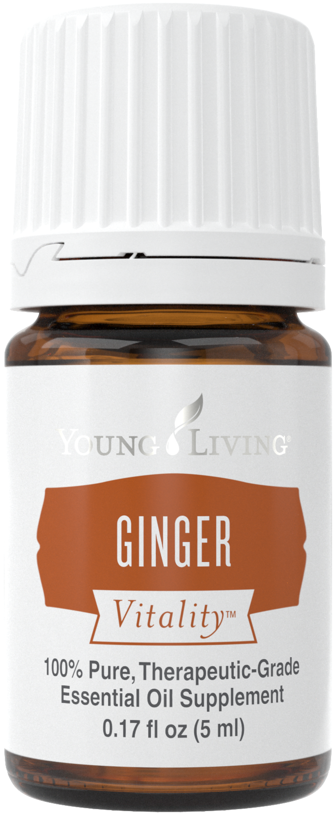 Ginger Vitality Silo.png