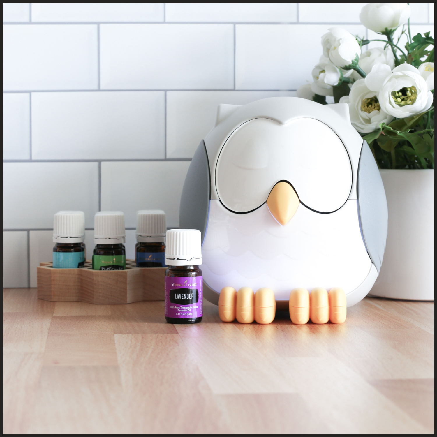 Feather the Owl Diffuser