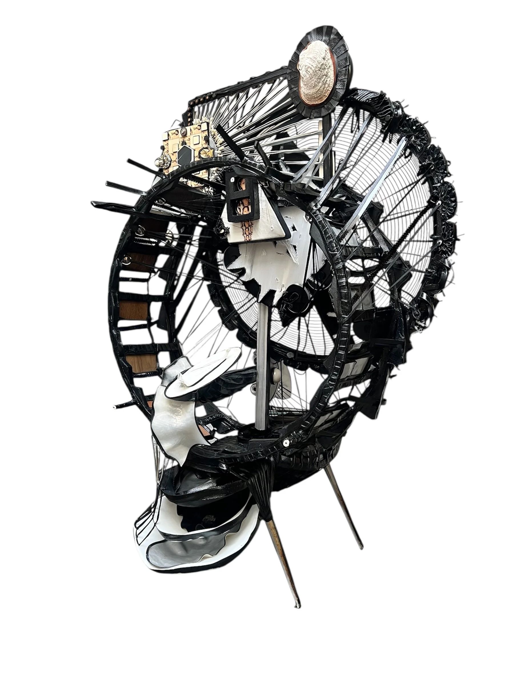 Paused Transit. Rerouting Trajectories.