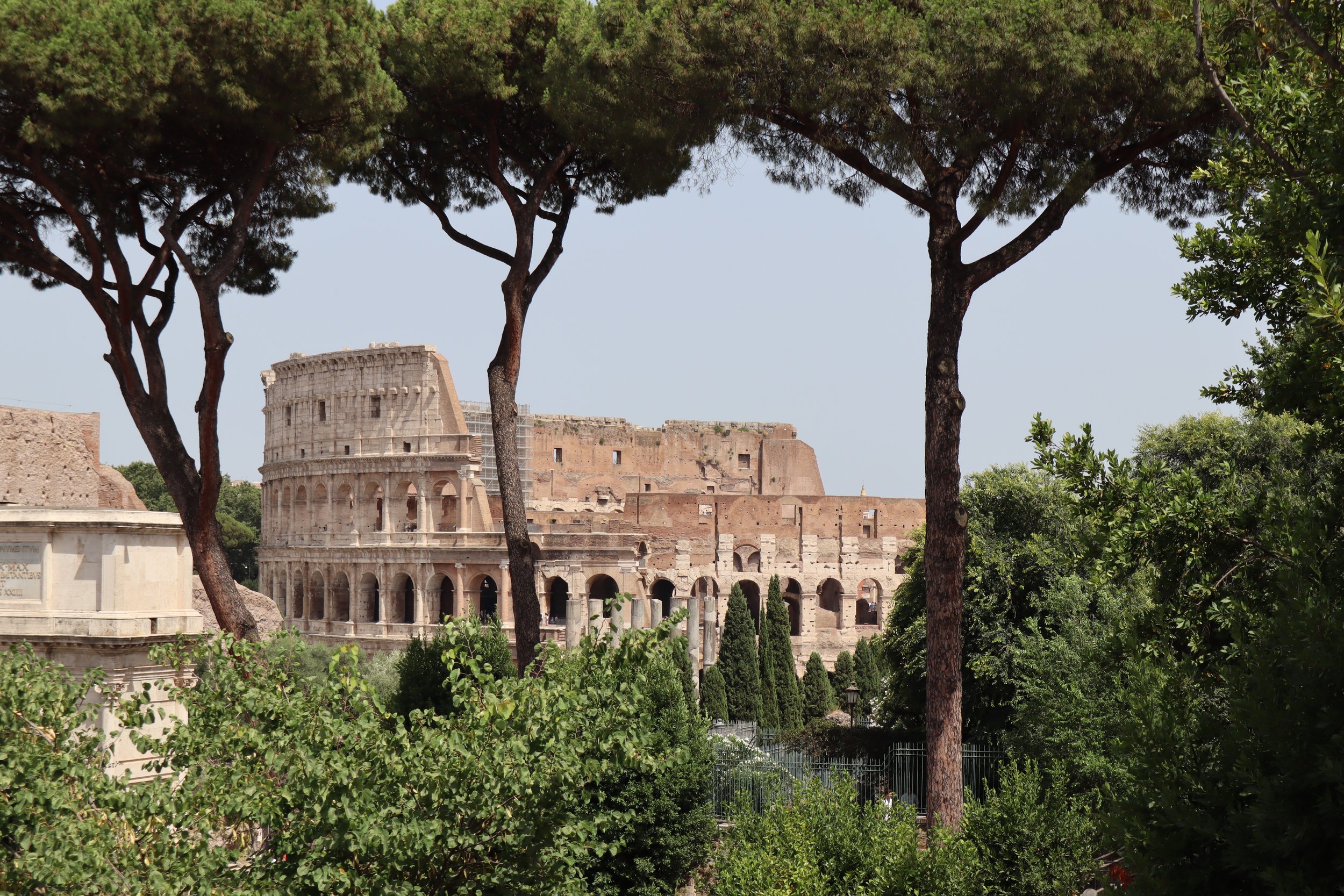 Rome colls from fourm.JPG