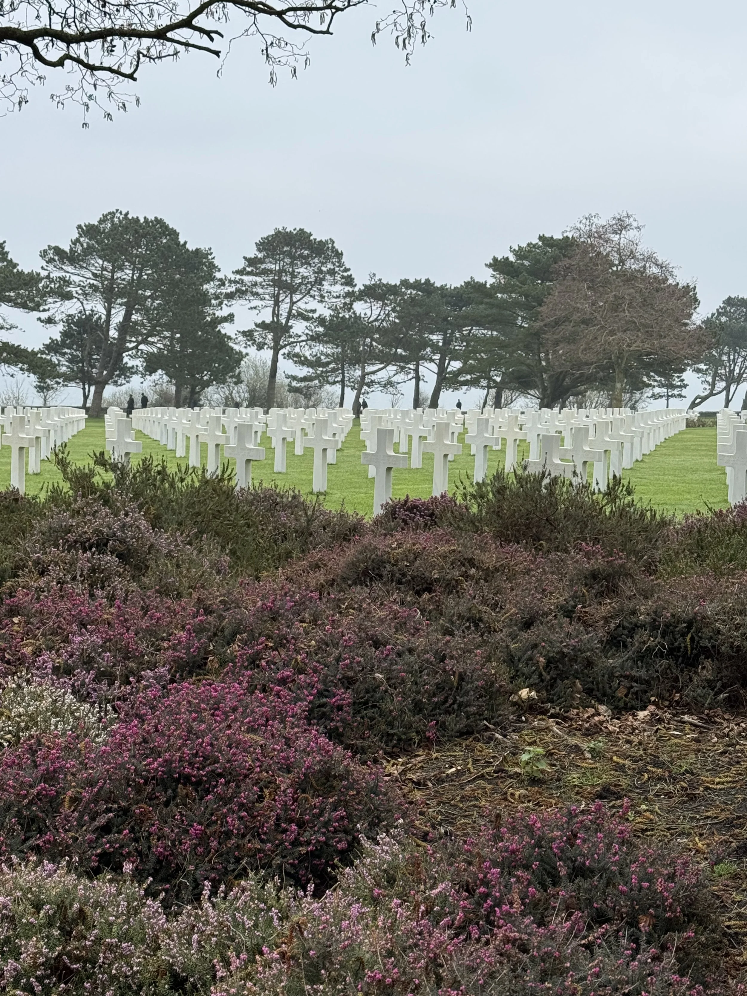 us cem stones plants.jpeg