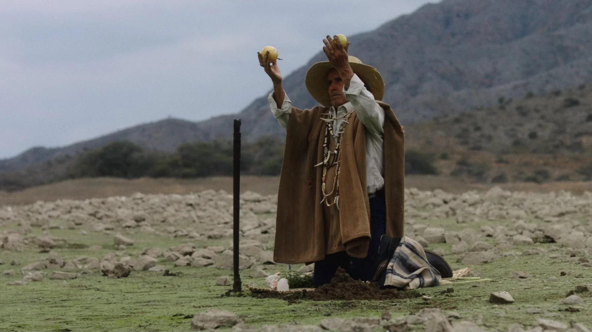 shaman-3.jpg