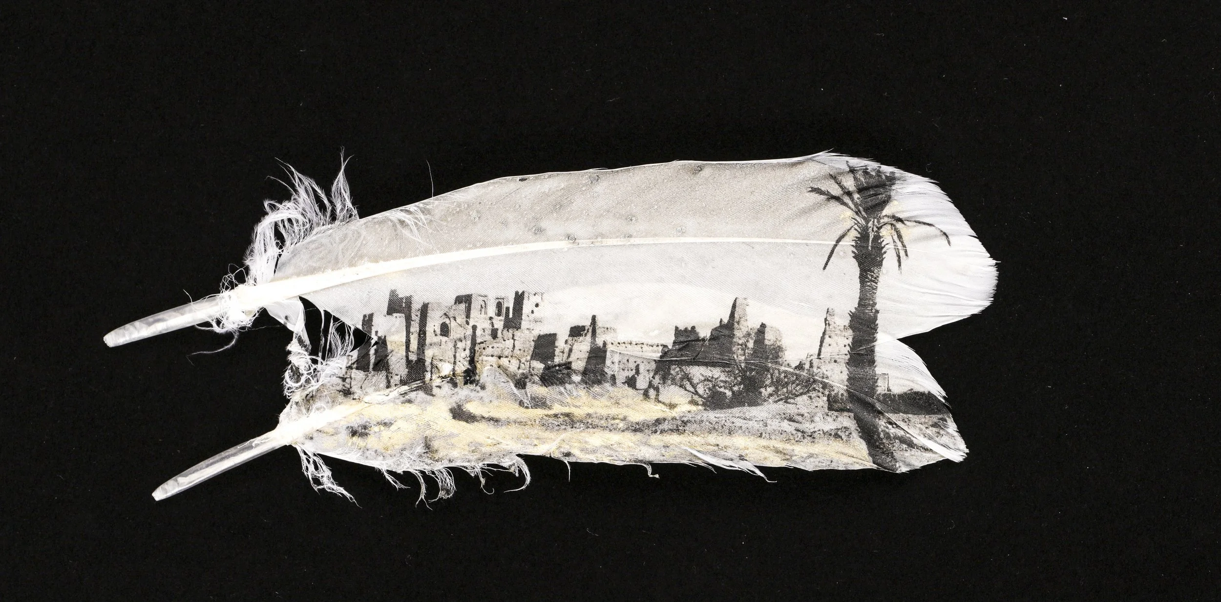 Mirages clarisse rebotier