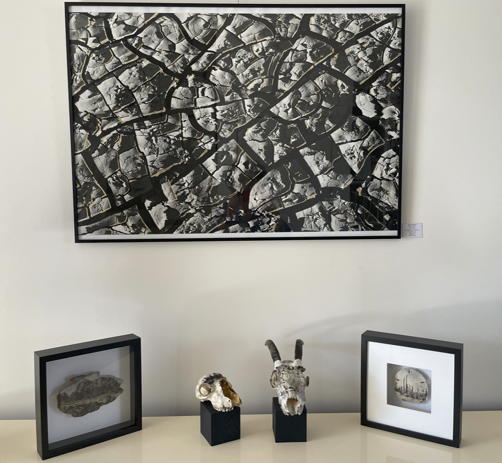 exposition Mirages et Vanités Clarisse Rebotier Galerie Hegoa