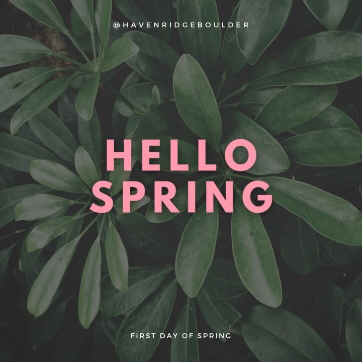 Happy Spring Equinox 🌱 a perfect time for a fresh start, you never know how it&rsquo;ll help you blossom 🌸 

Here at Haven Ridge we&rsquo;re providing our residents with a chance to start again and get support through our community. We don&rsquo;t 