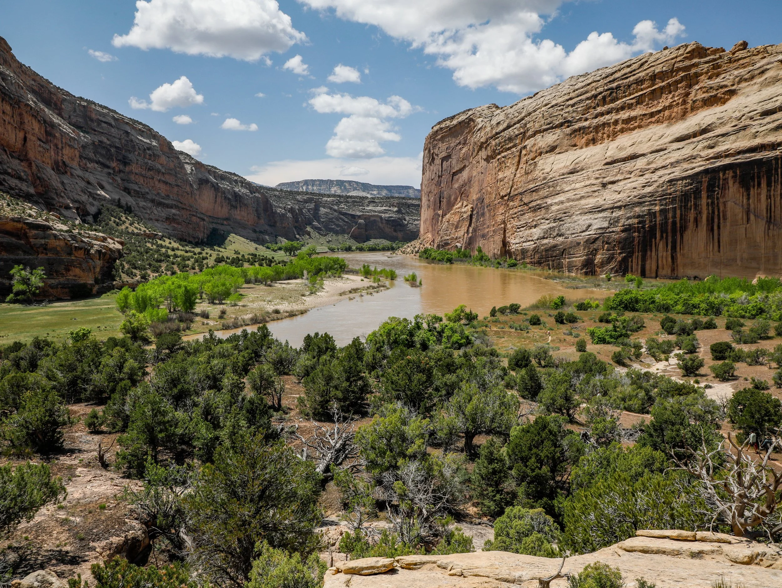 Yampa River Fund Celebration