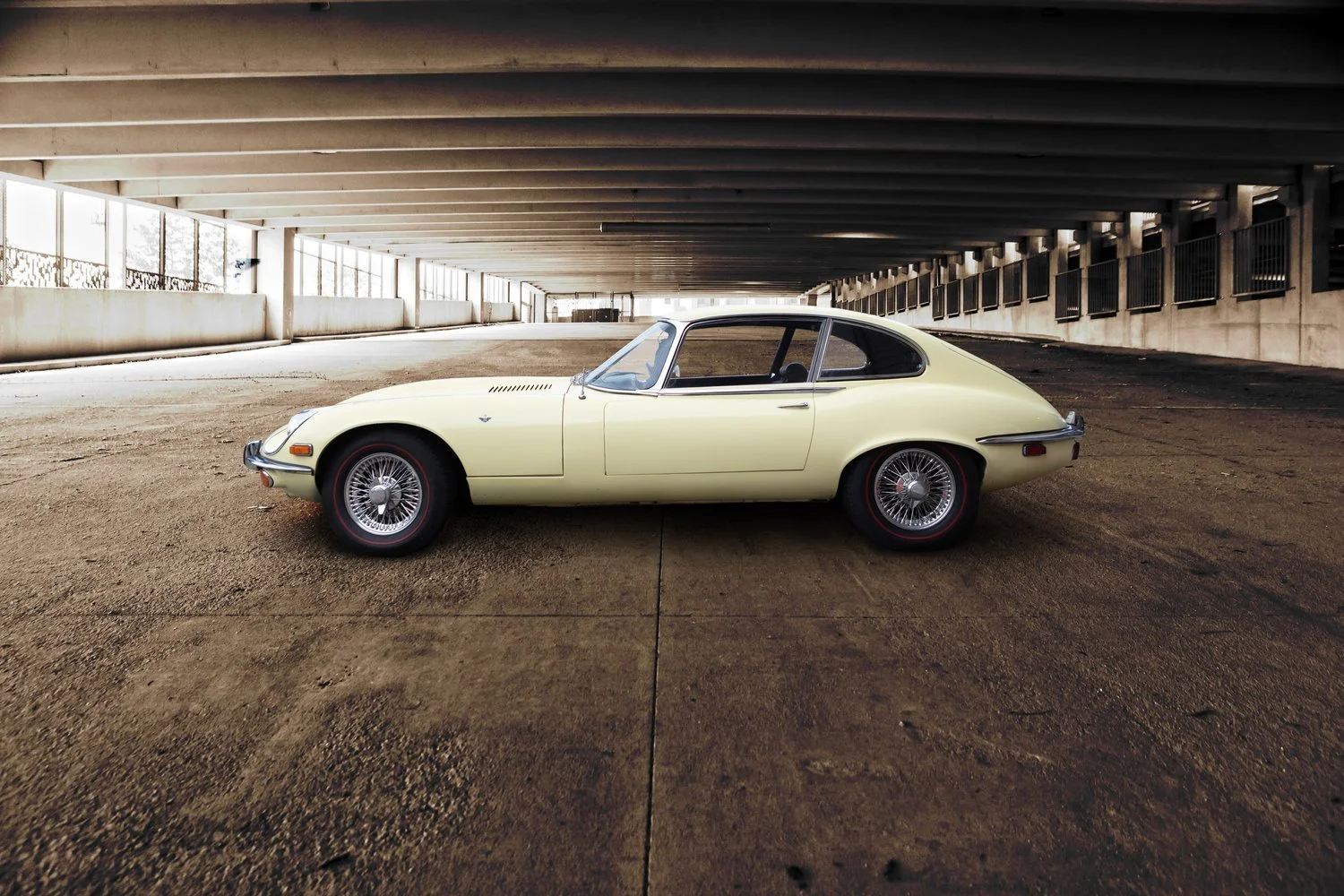YellowJag2.jpeg
