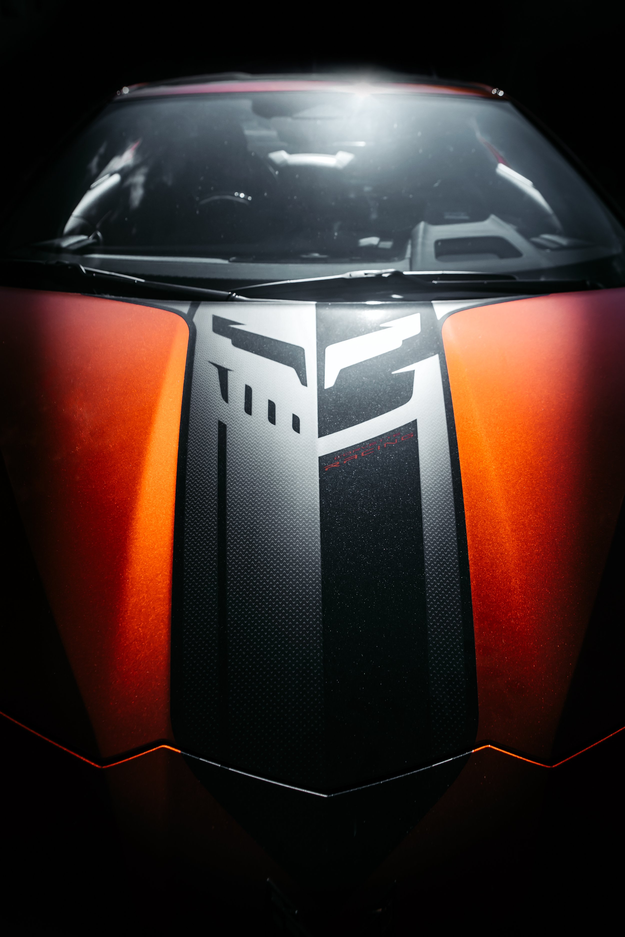 R6242990-Edit.jpg
