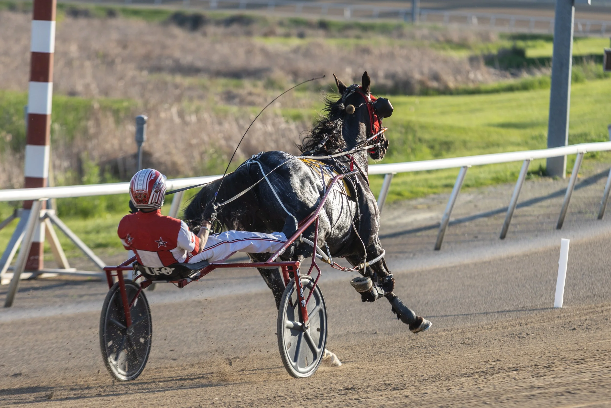 MNLL_20260526_RunningAces-018.jpg