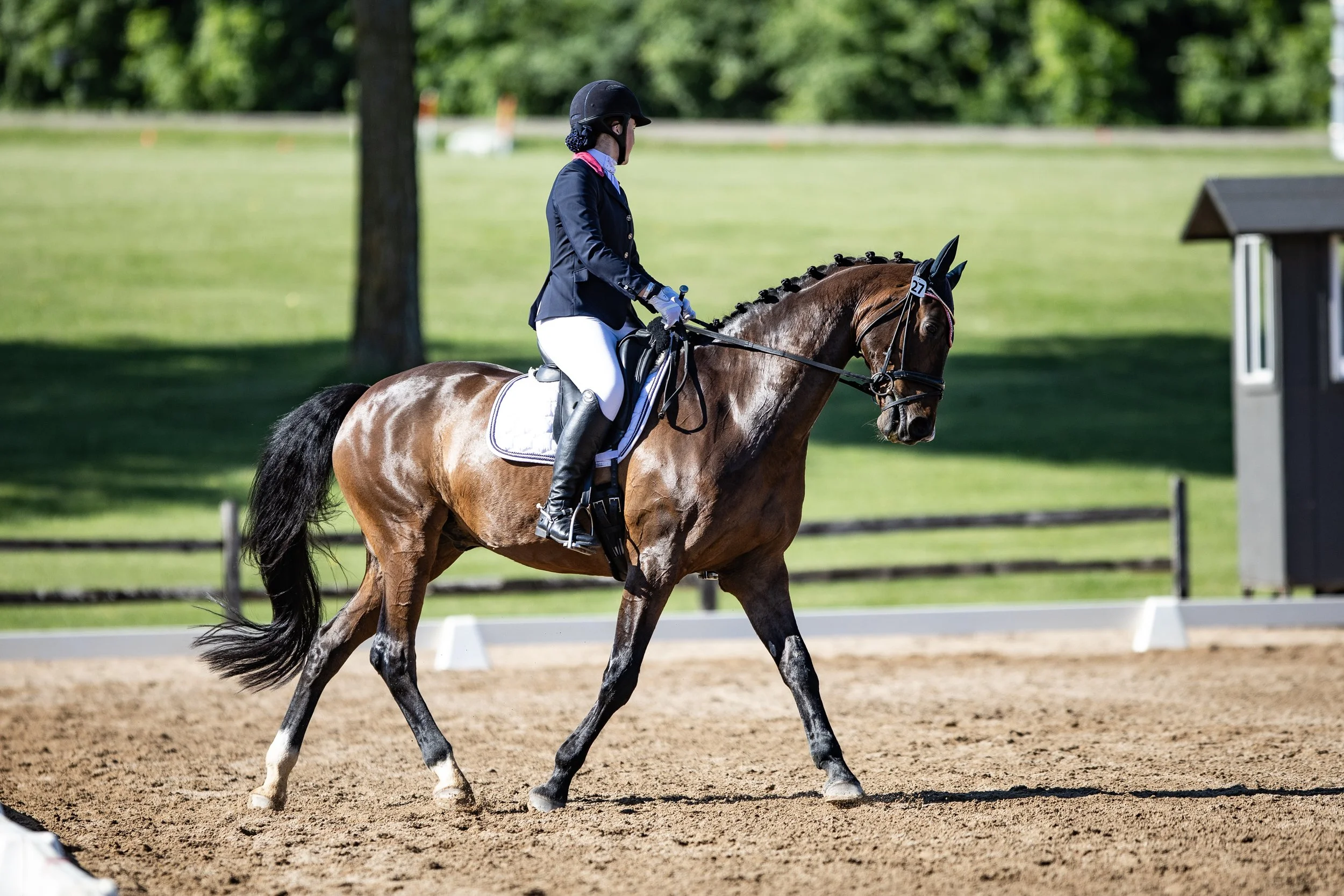 Dressage-003.jpg