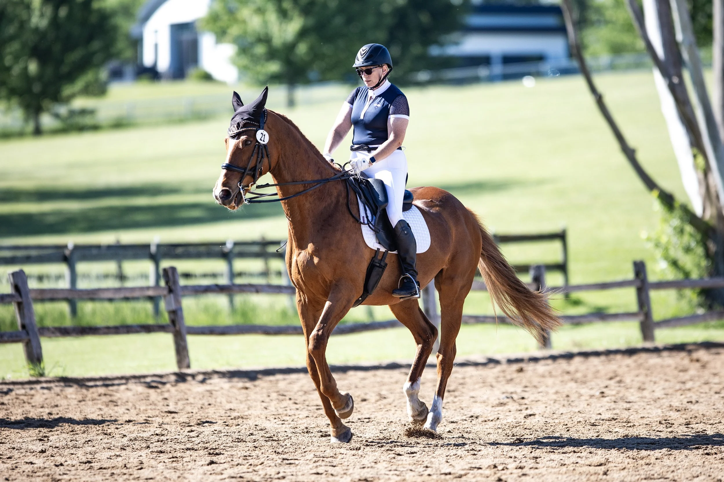 Dressage-004.jpg
