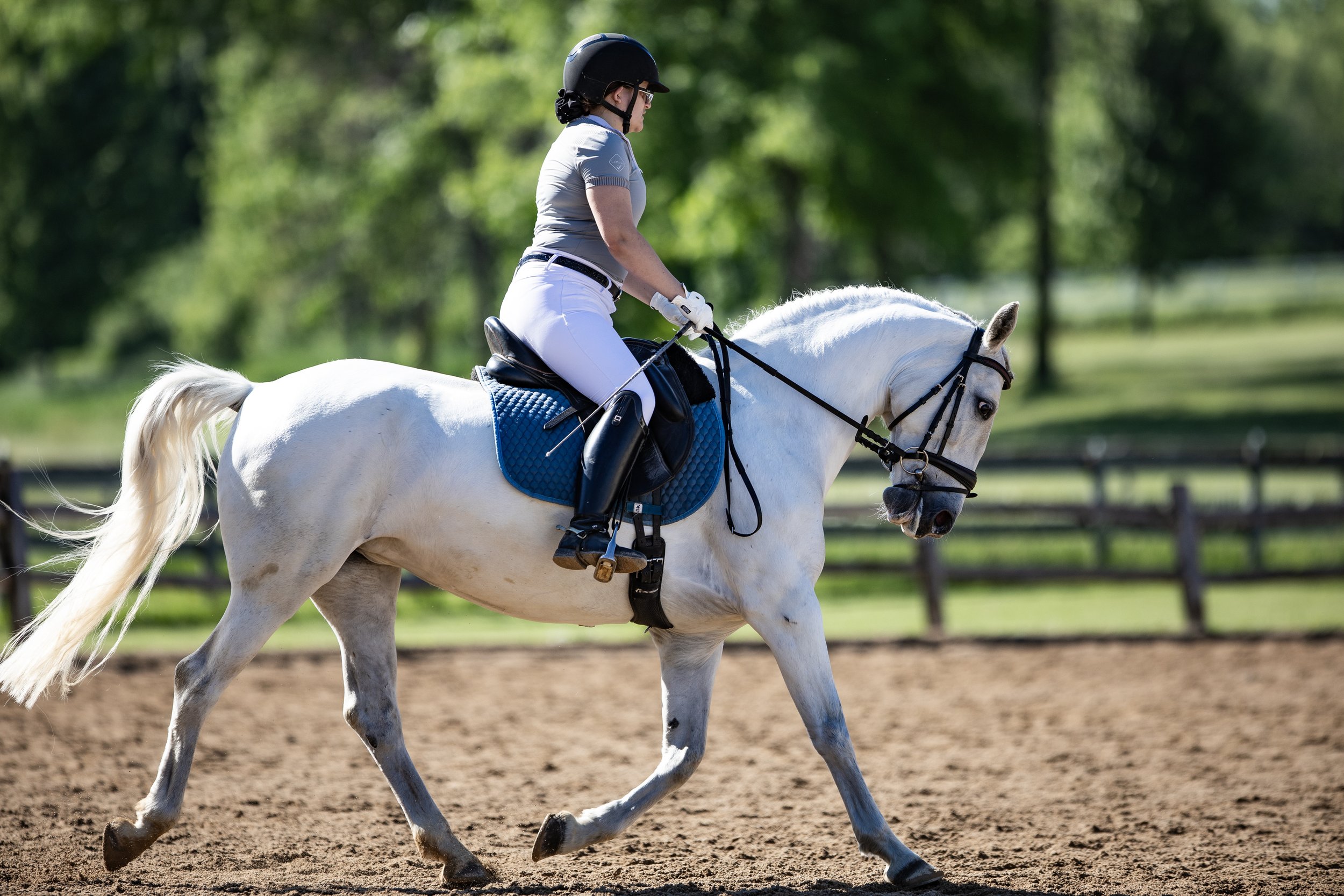 Dressage-006.jpg