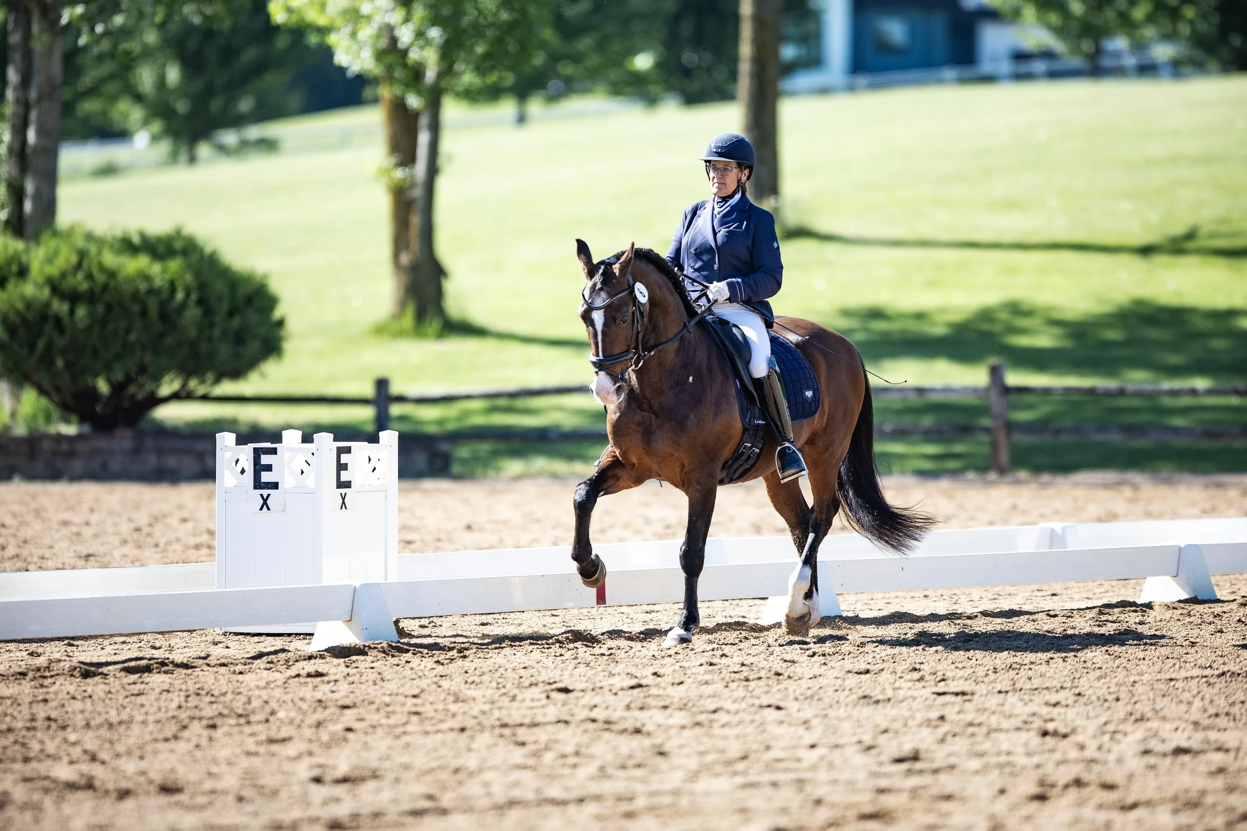 Dressage-007.jpg