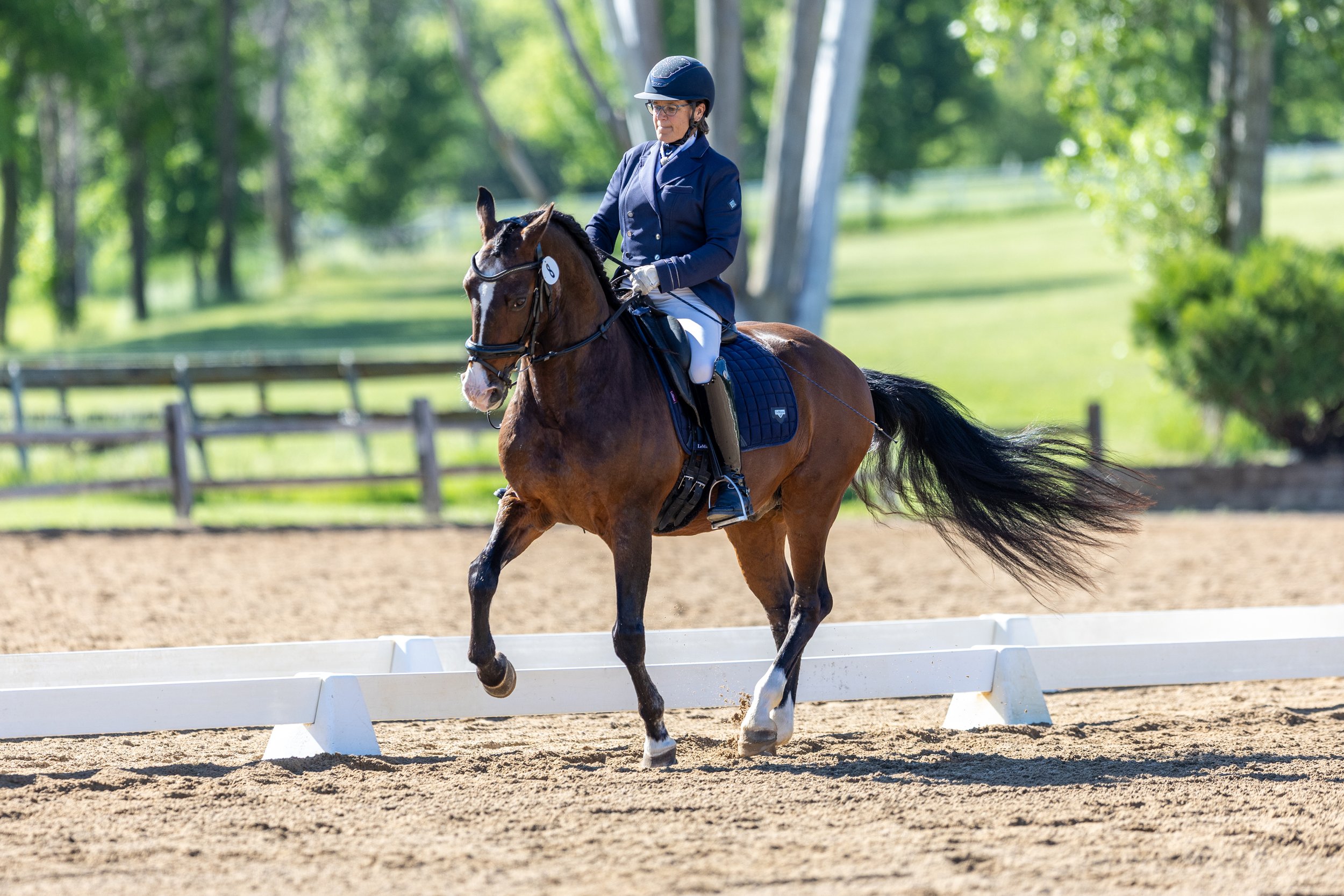 Dressage-010.jpg