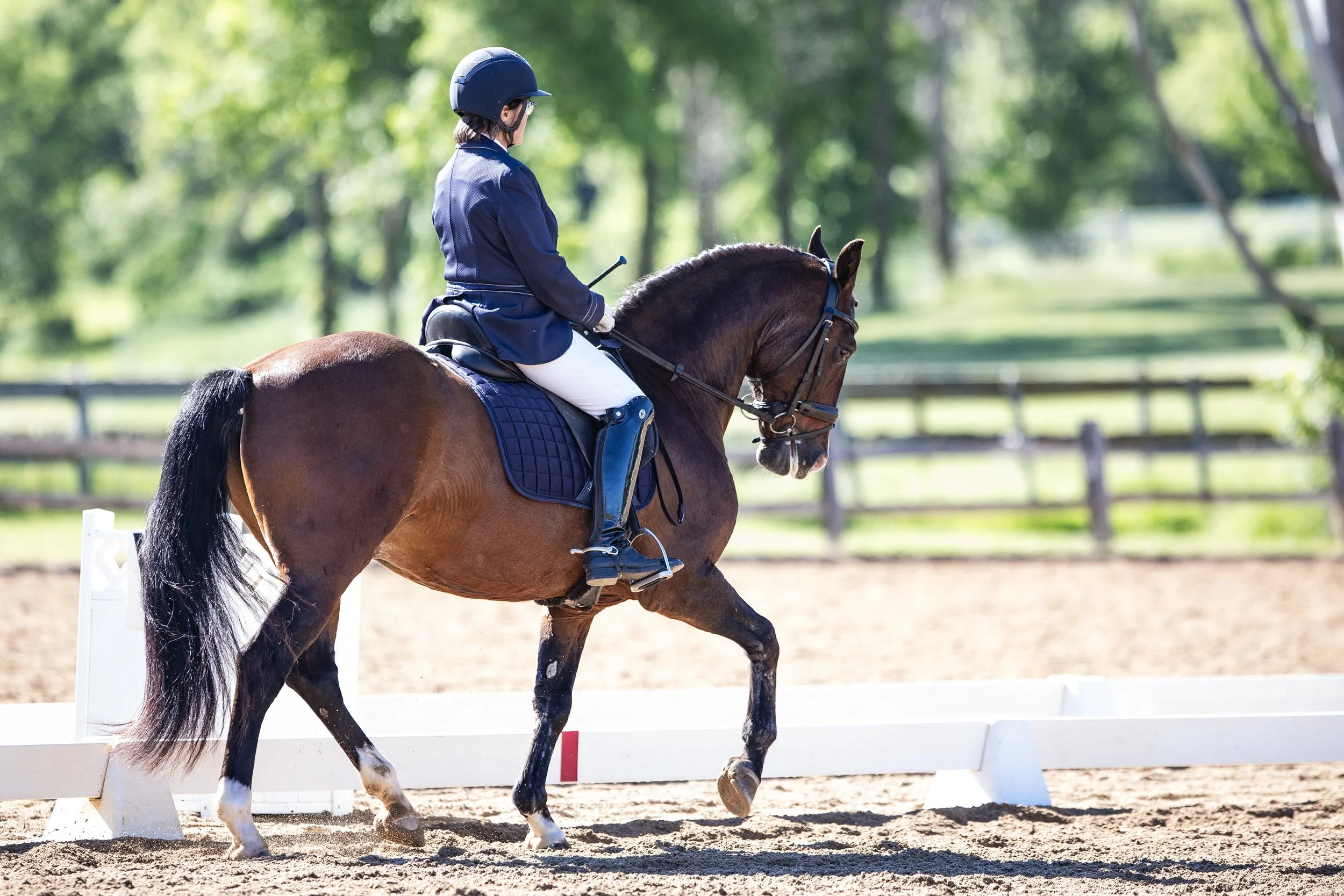 Dressage-011.jpg