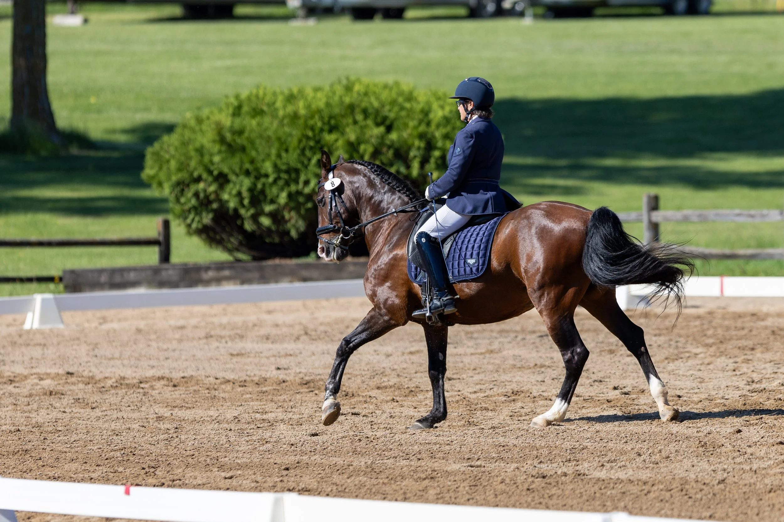 Dressage-012.jpg