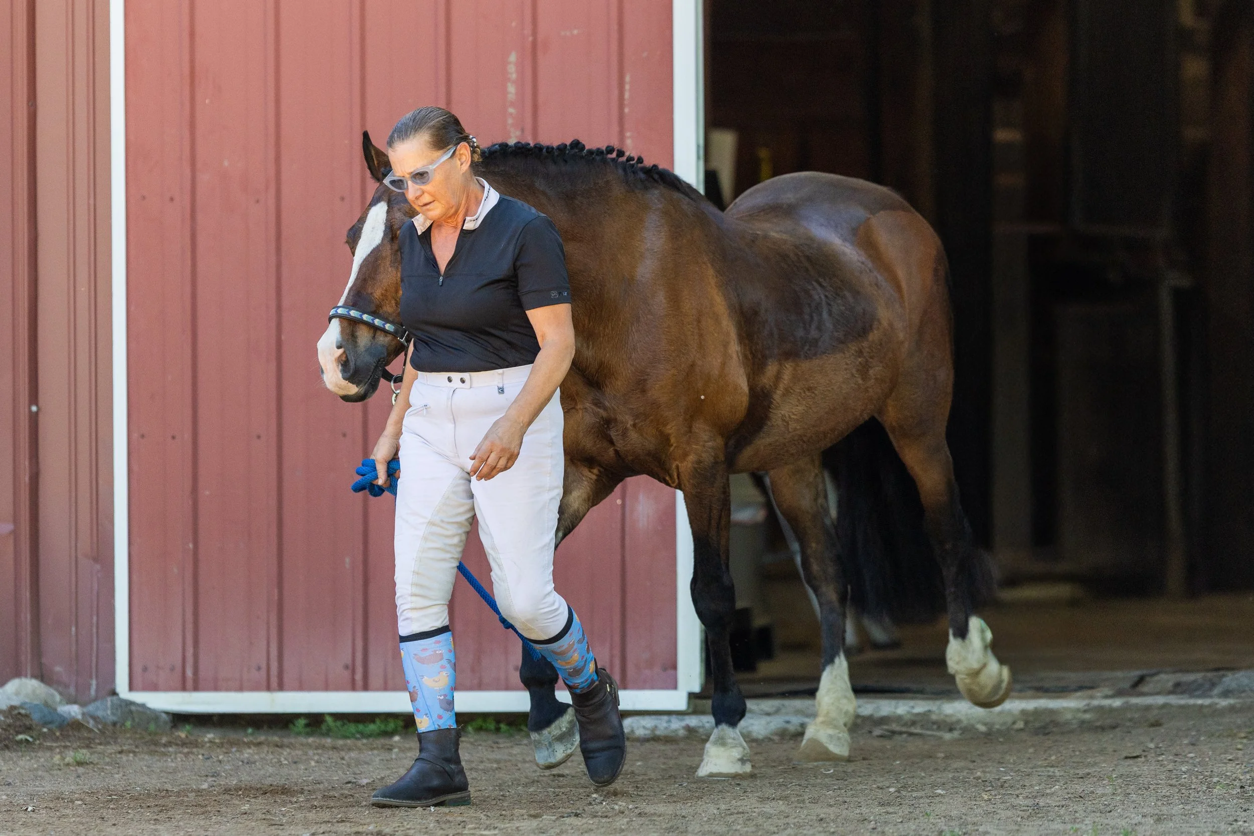 Dressage-013.jpg