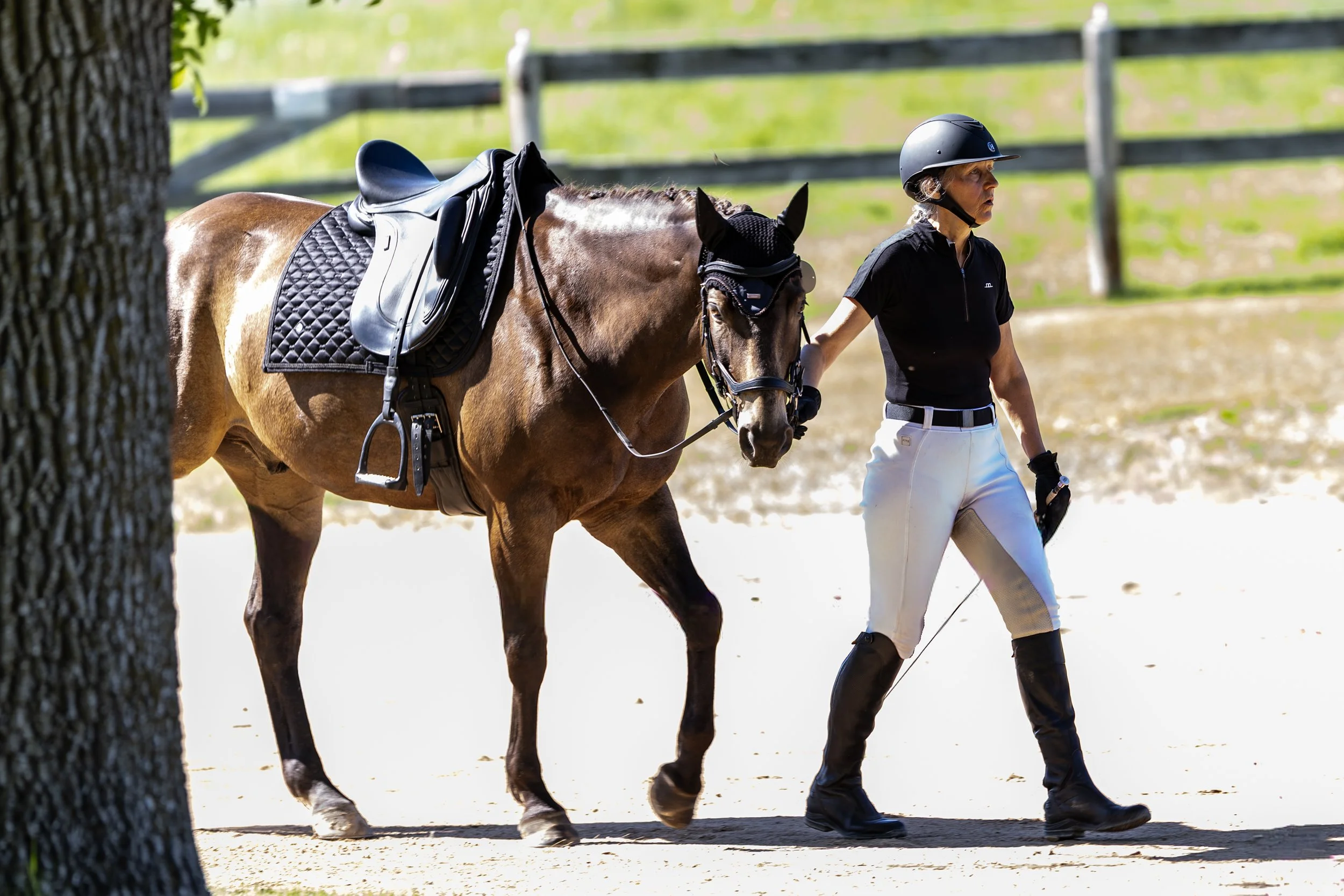 Dressage-023.jpg