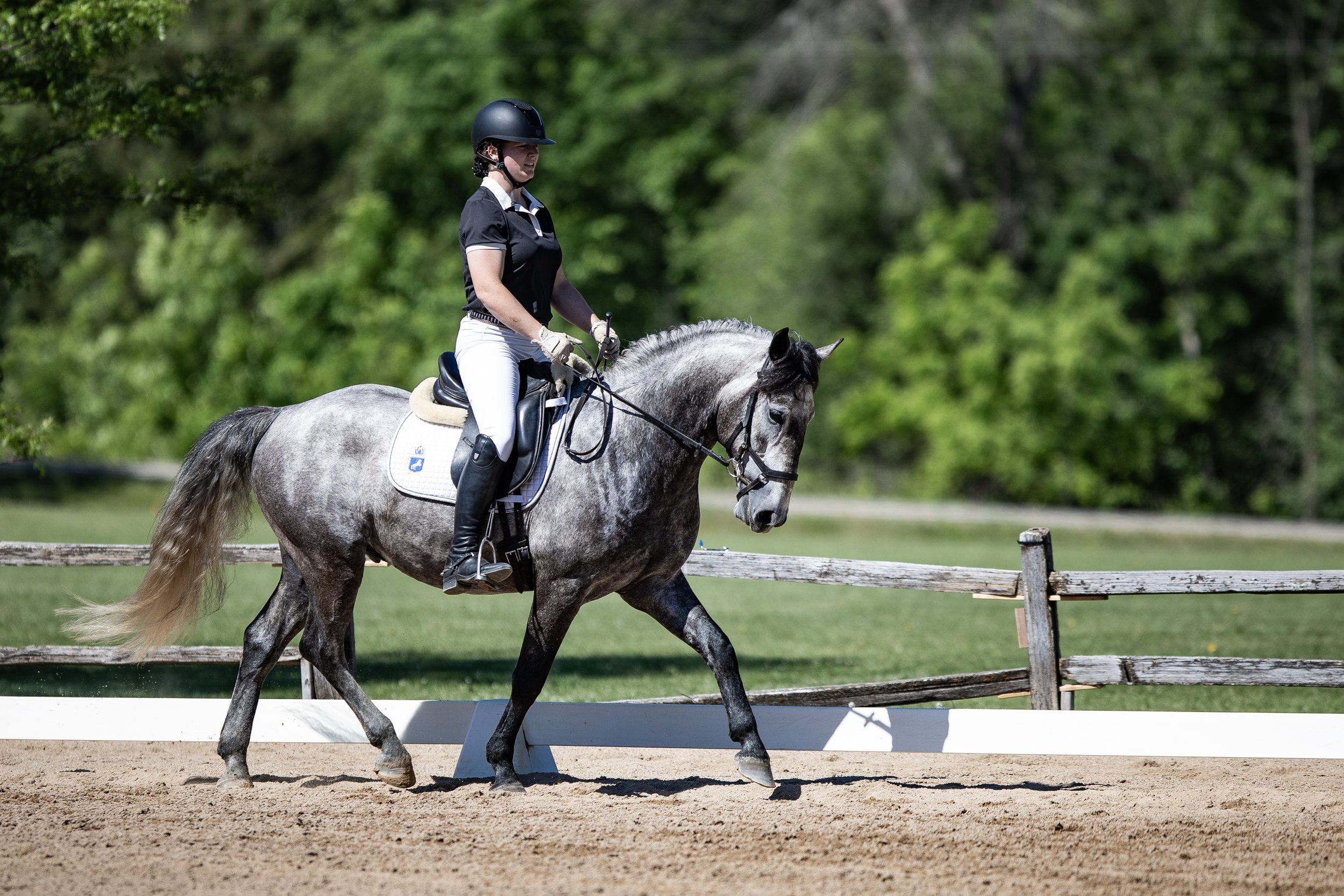 Dressage-025.jpg