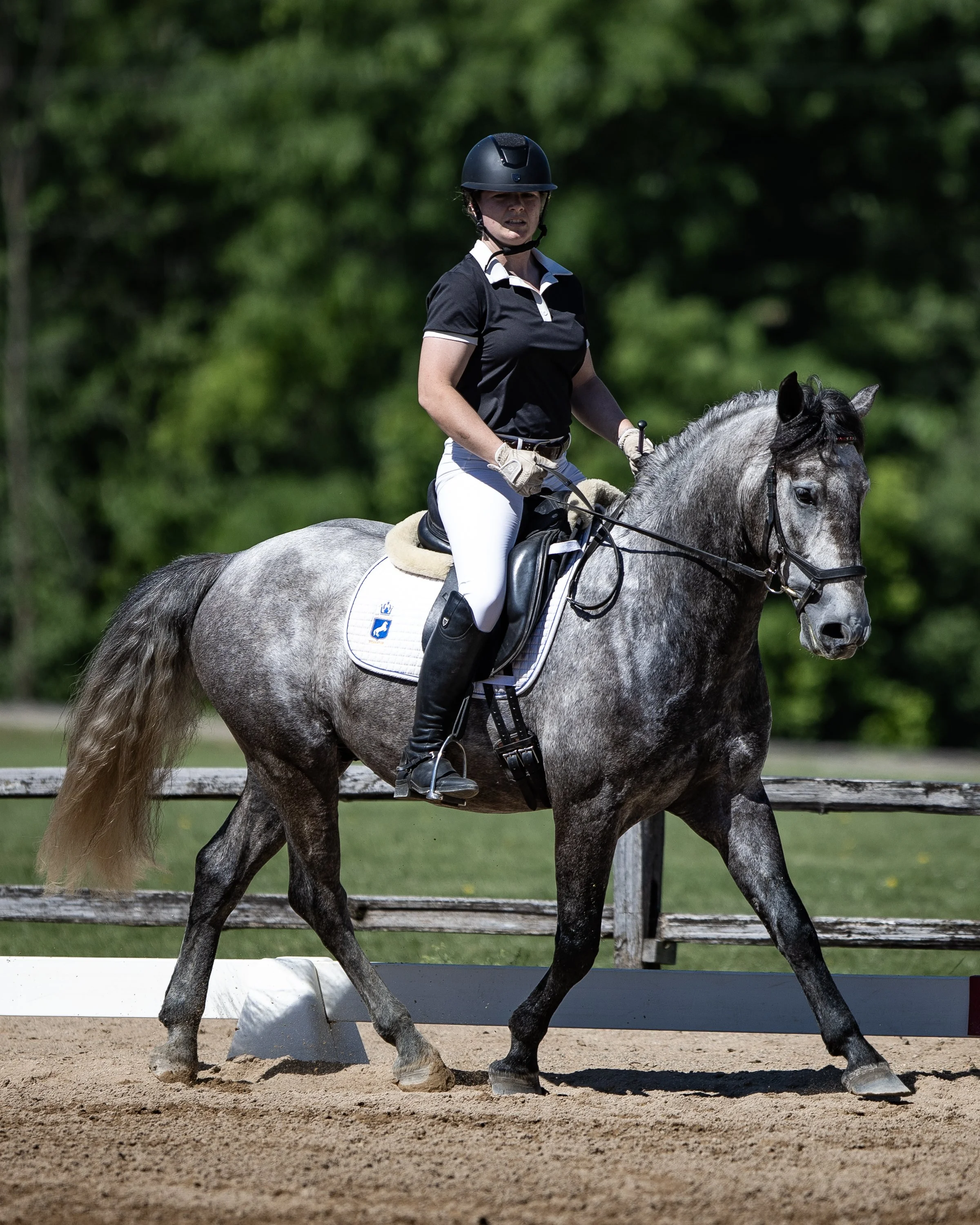 Dressage-026.jpg