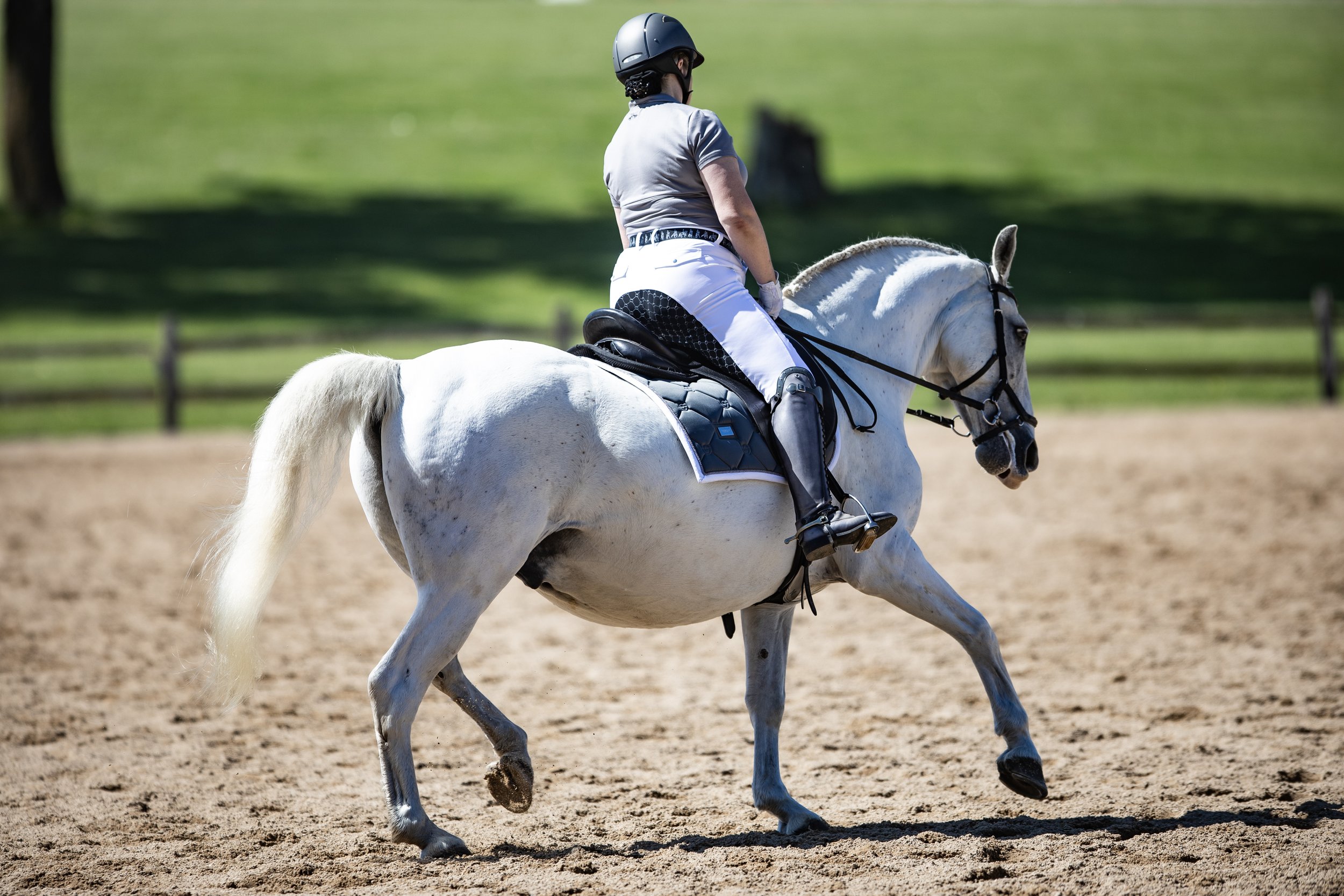 Dressage-027.jpg