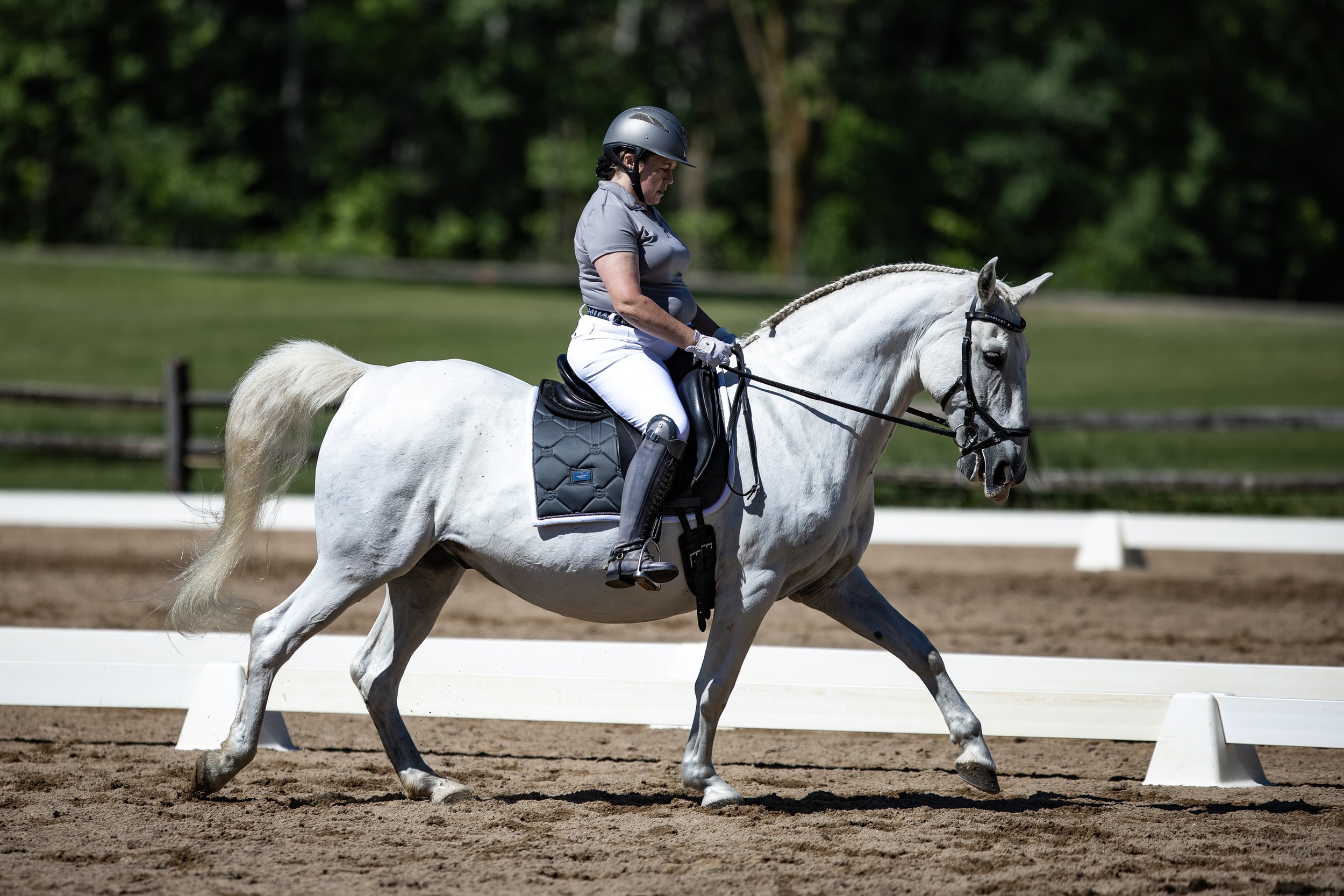 Dressage-029.jpg