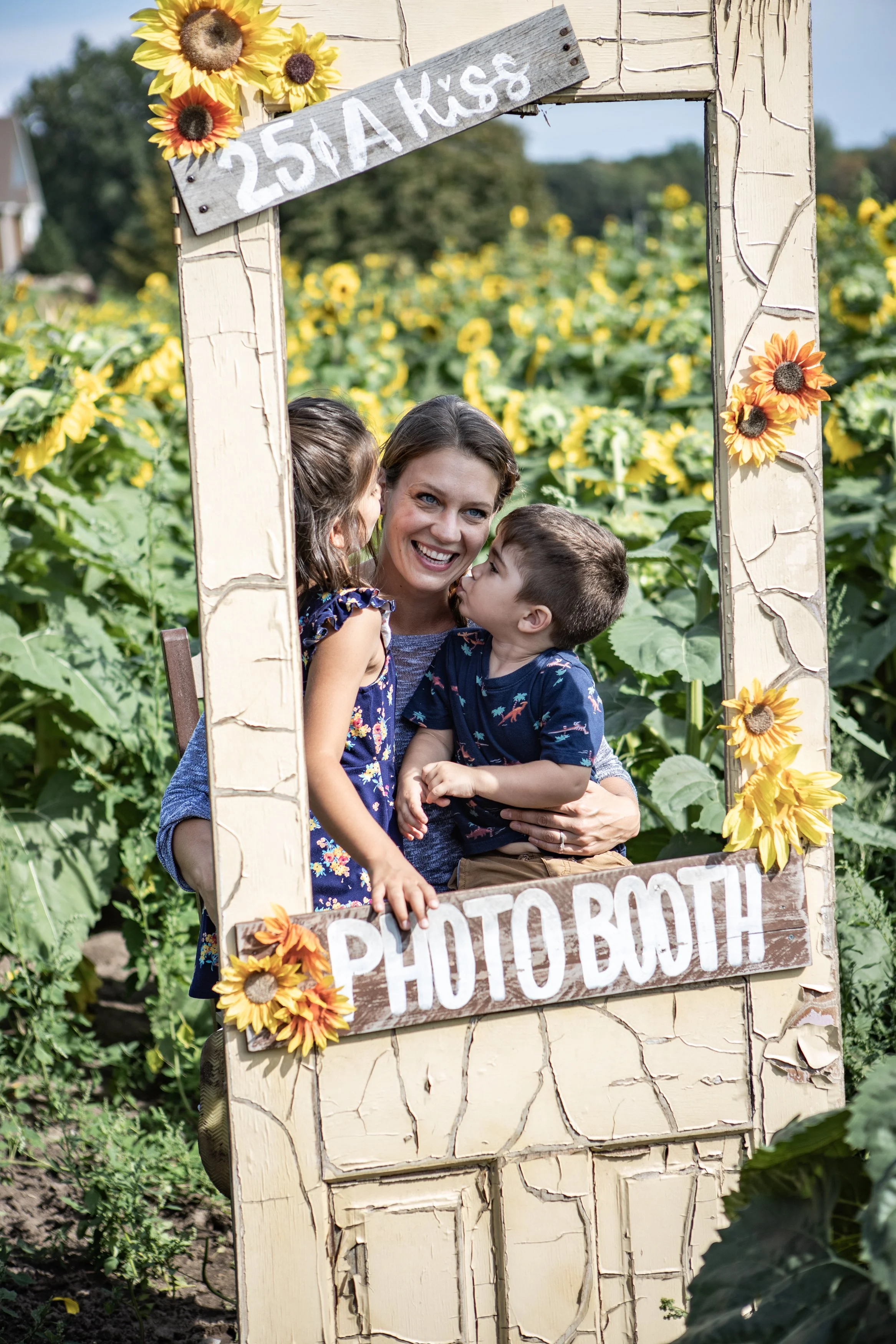Sunflower-6246.jpg