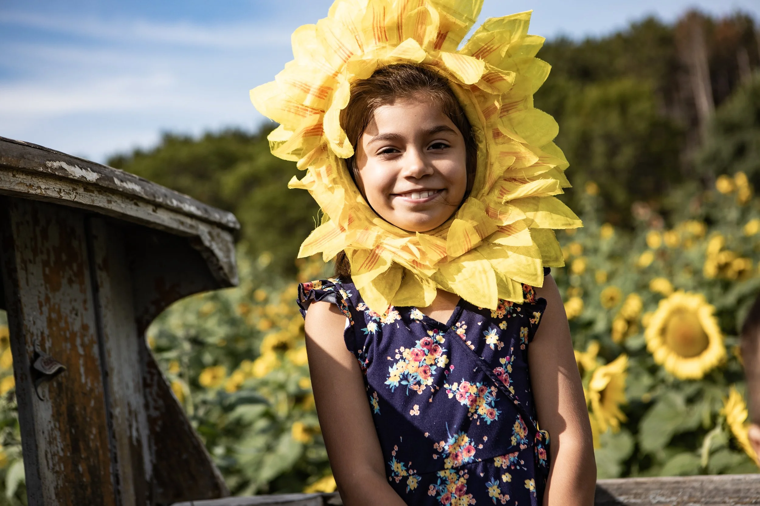 Sunflower-6435.jpg