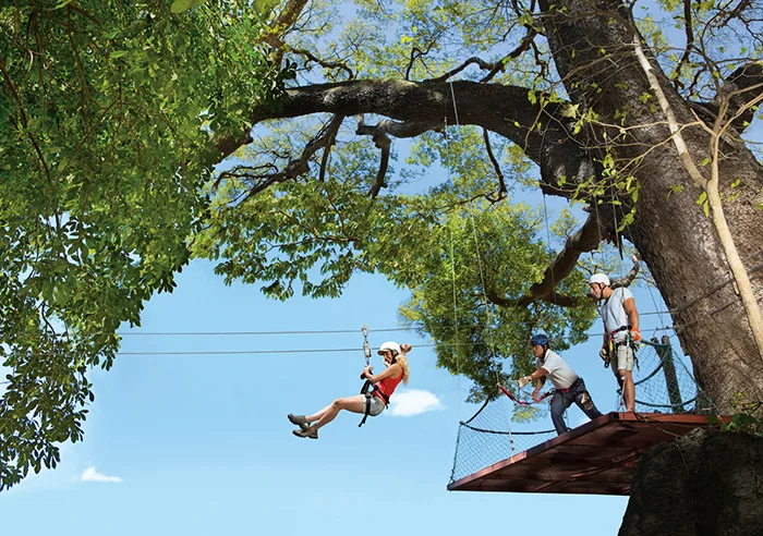 DRELM_EXT_Zipline1_3A.jpg