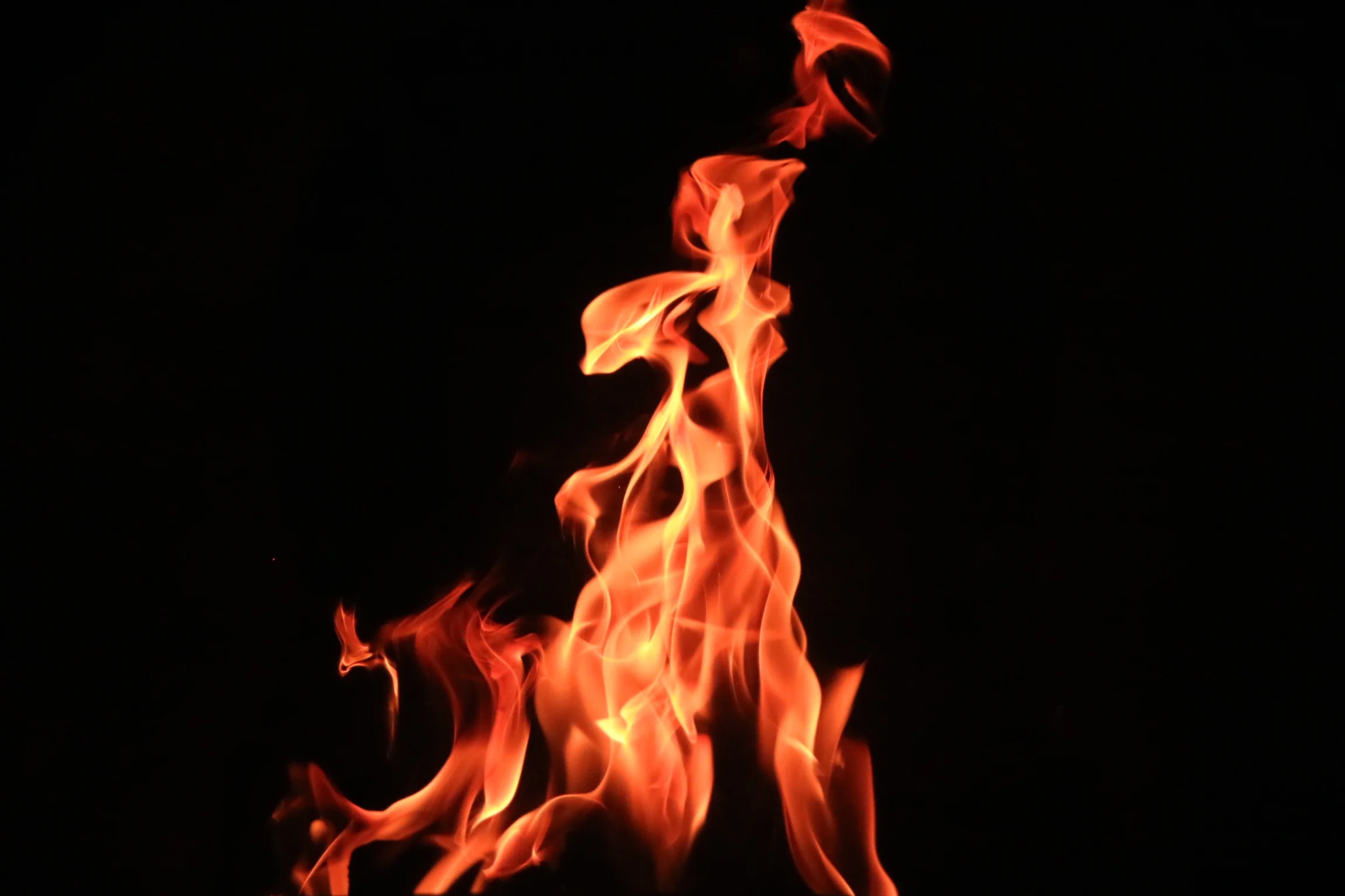 Bulls fan preemptively burns Coby White jersey in preparation for eventual disappointment - INTERVIEW