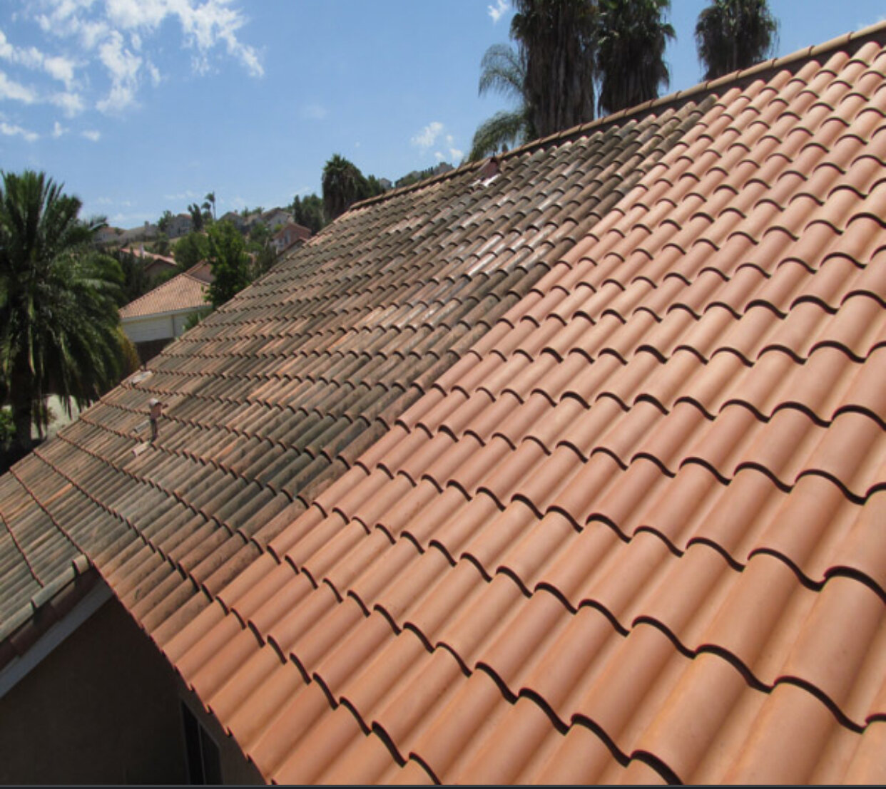 Roof Cleaning