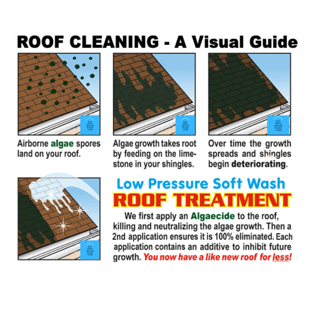 Roof Cleaning