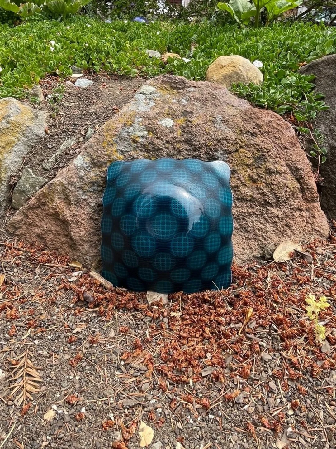Peacock+blue+transparent+base+with+pink%2C+neo-lavender%2C+clear+stringers+back.jpg