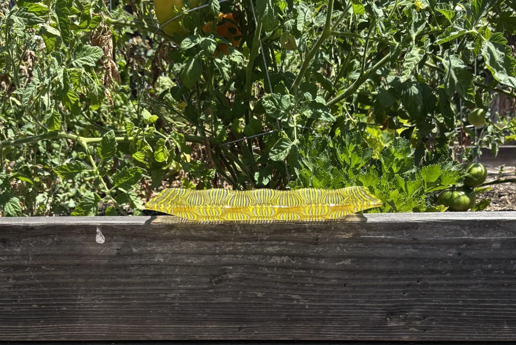 Yellow trans base, neo-lavender_green gold_clear stringers side sized.jpeg