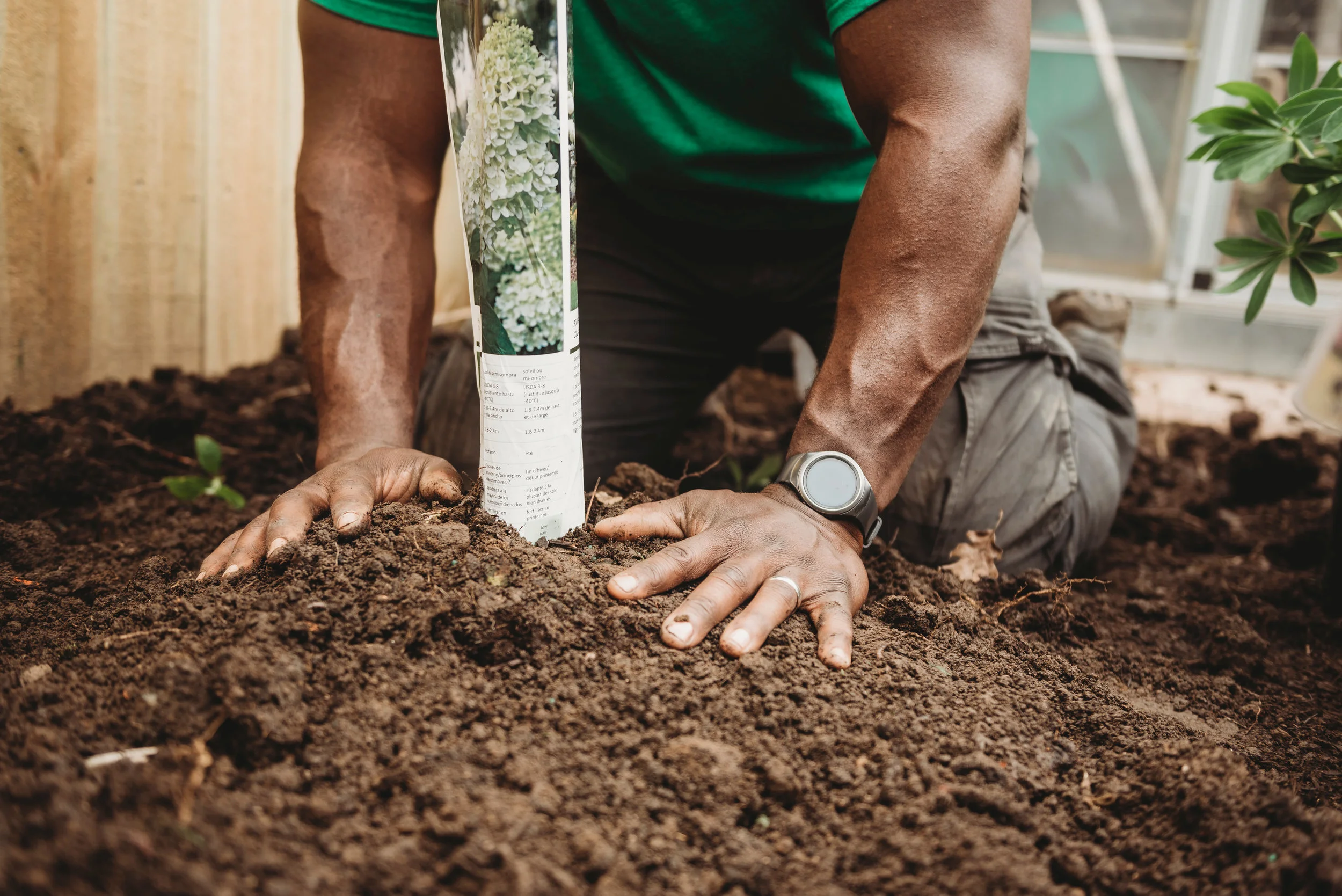planting.jpg