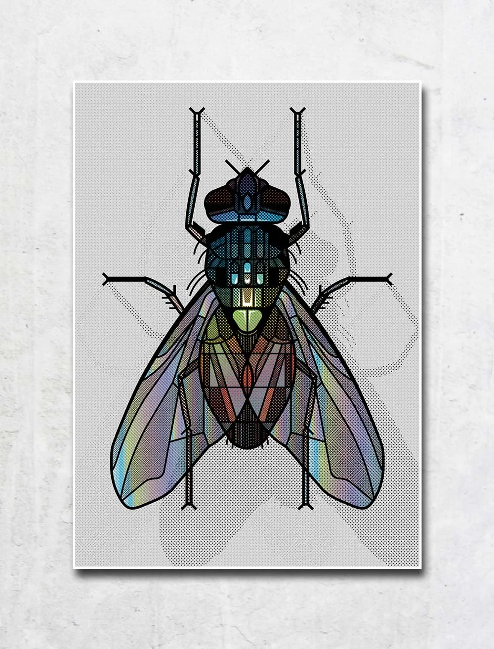 ATA_BOZACI-LIAB-The-Fly-silver.jpg