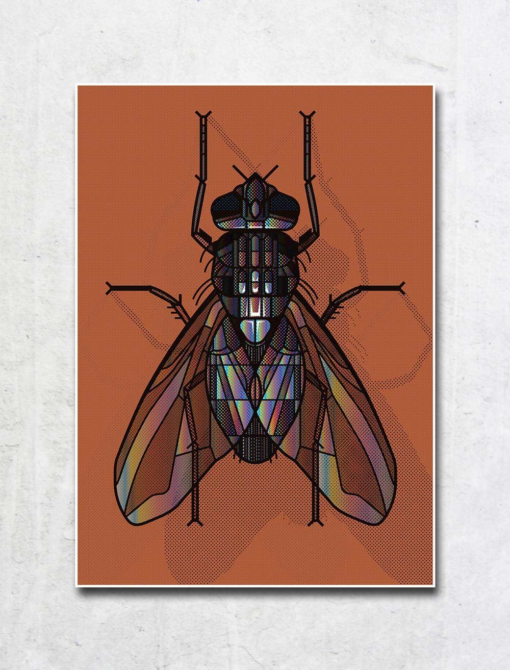 ATA_BOZACI-LIAB-The-Fly-bronze.jpg