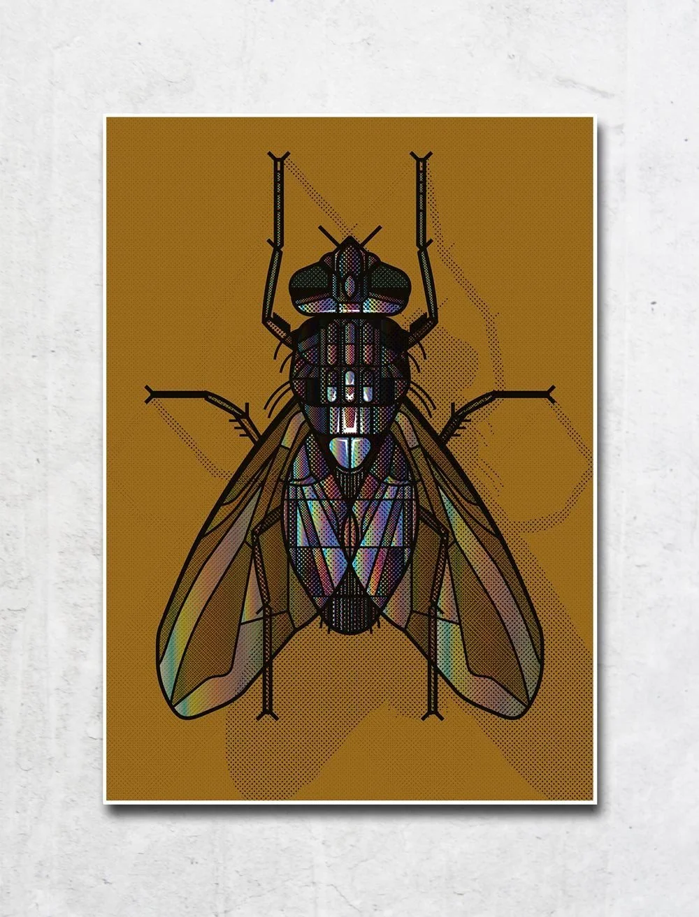 ATA_BOZACI-LIAB-The-Fly-gold.jpg