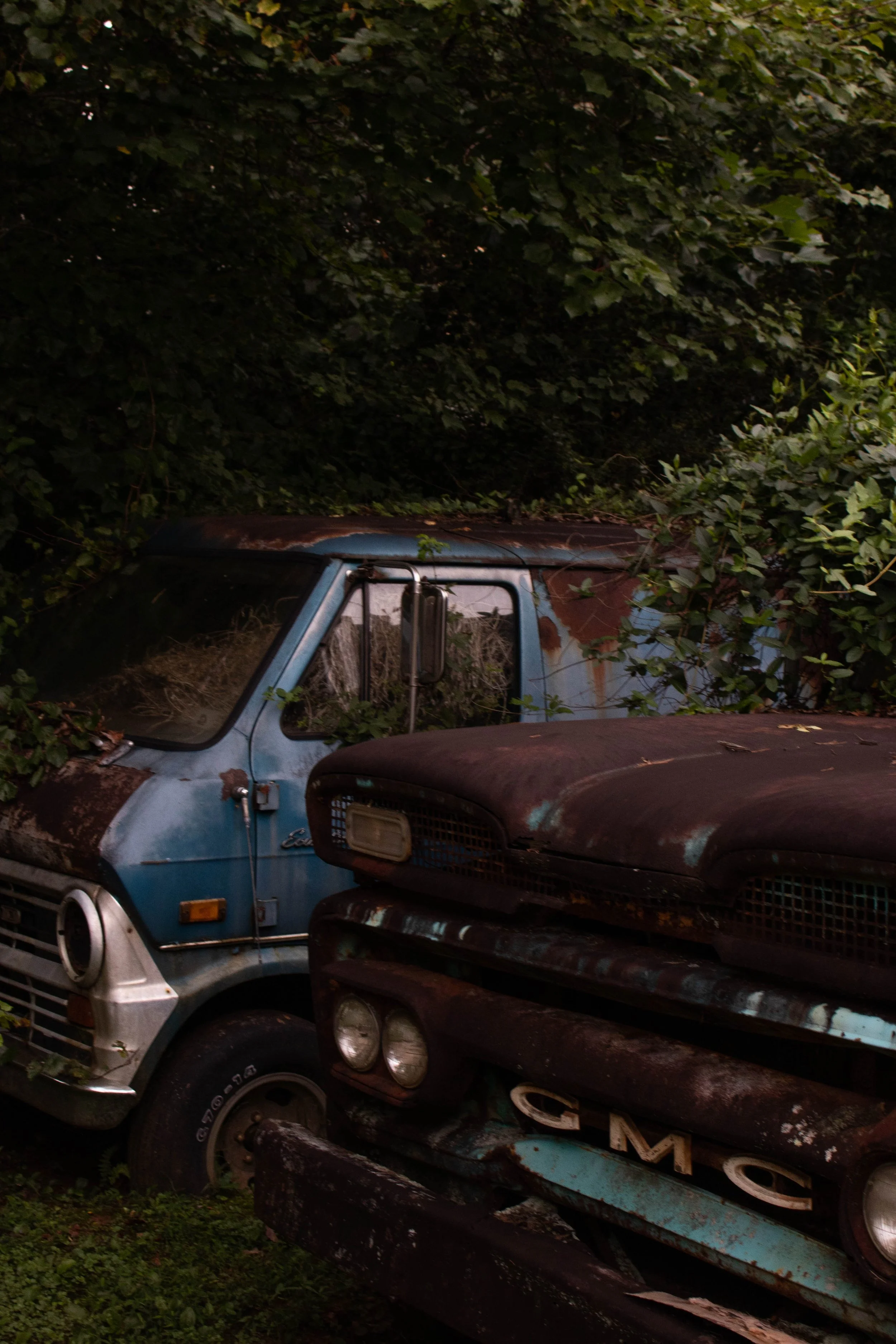 rust.jpeg