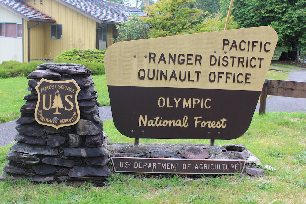 Olympic National Forest shot.JPG