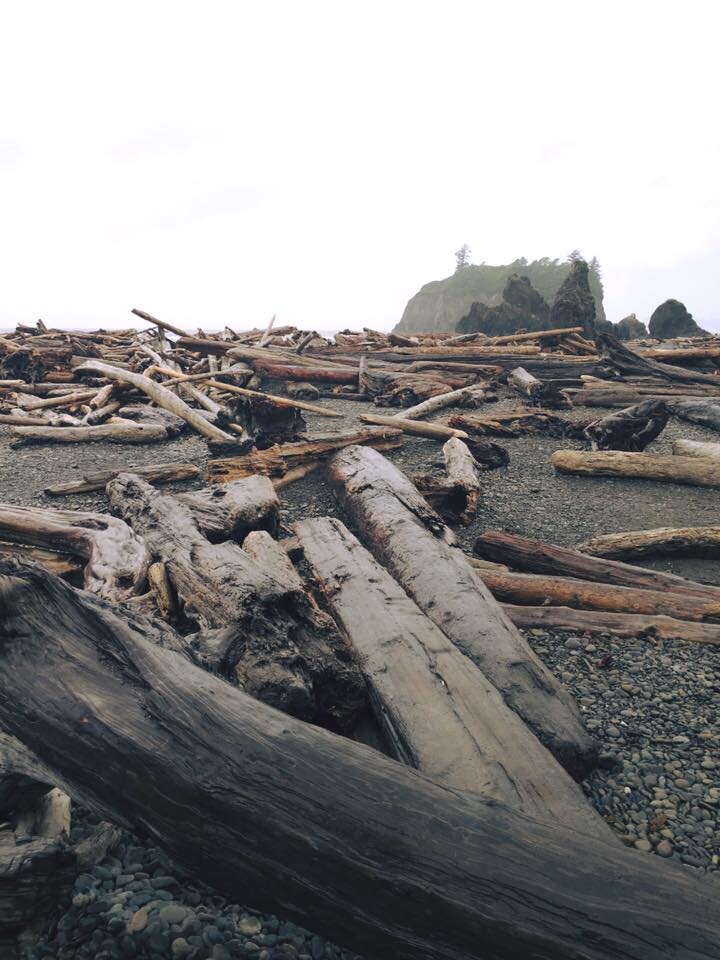 Ruby Beach(2).jpg