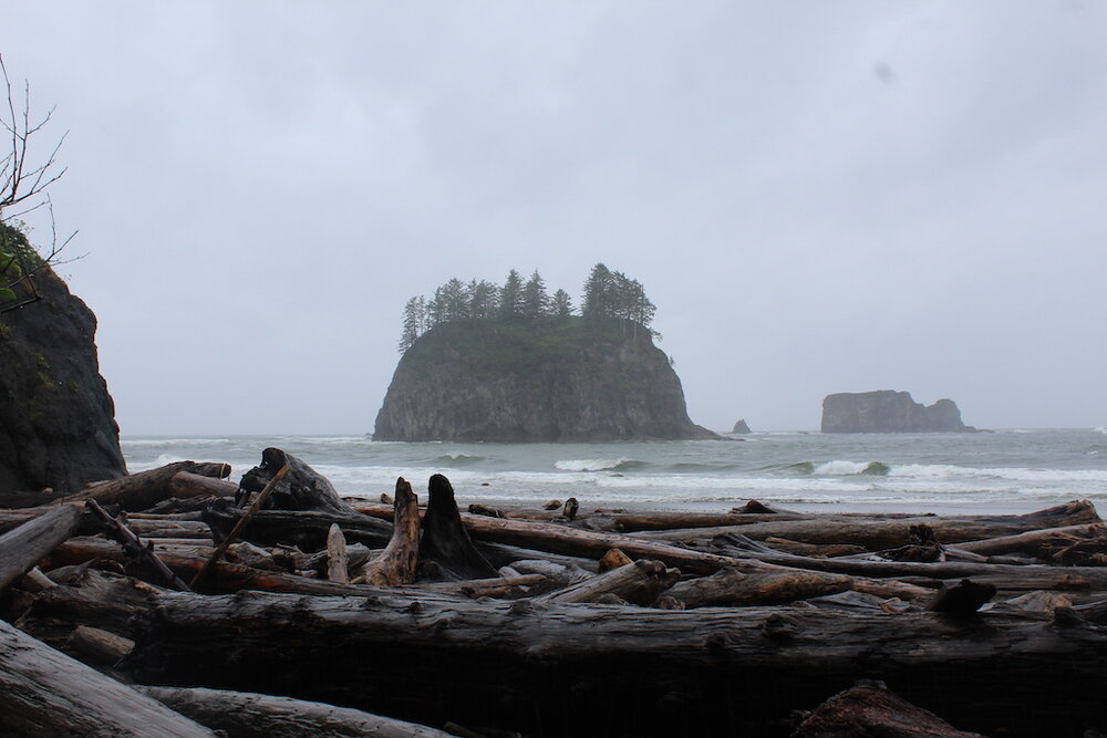 Ruby Beach(1).JPG