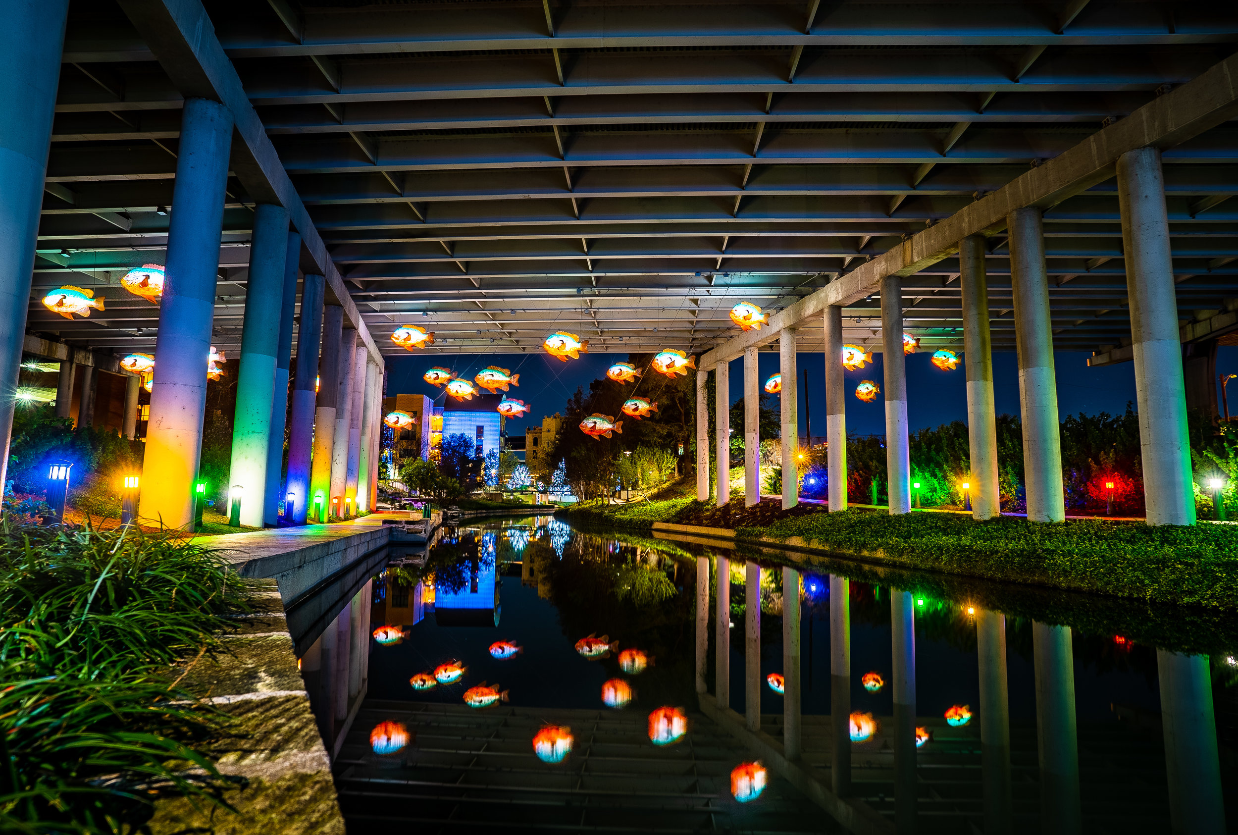 museum reach-1.jpg
