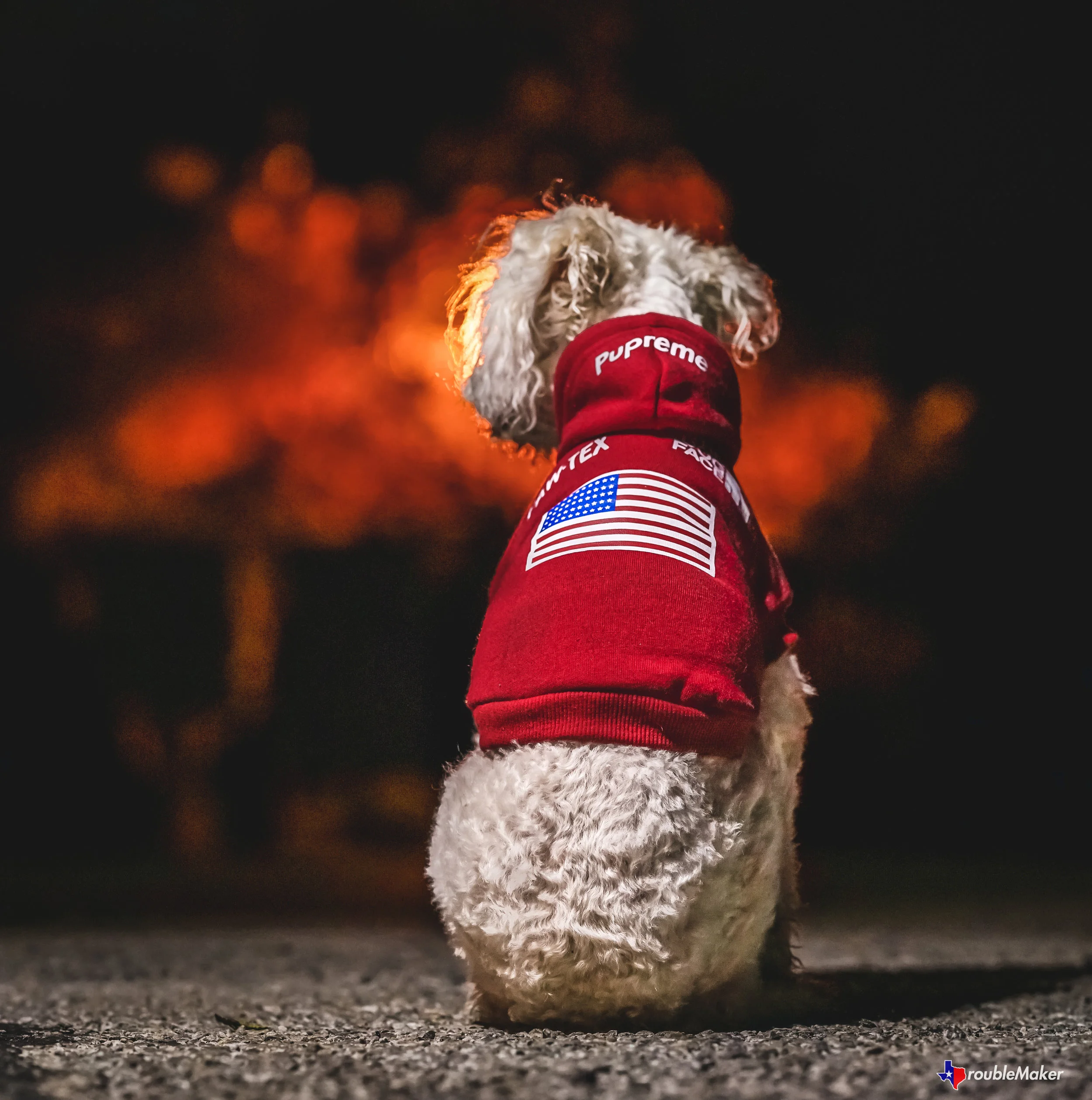 piper pupreme-1.jpg