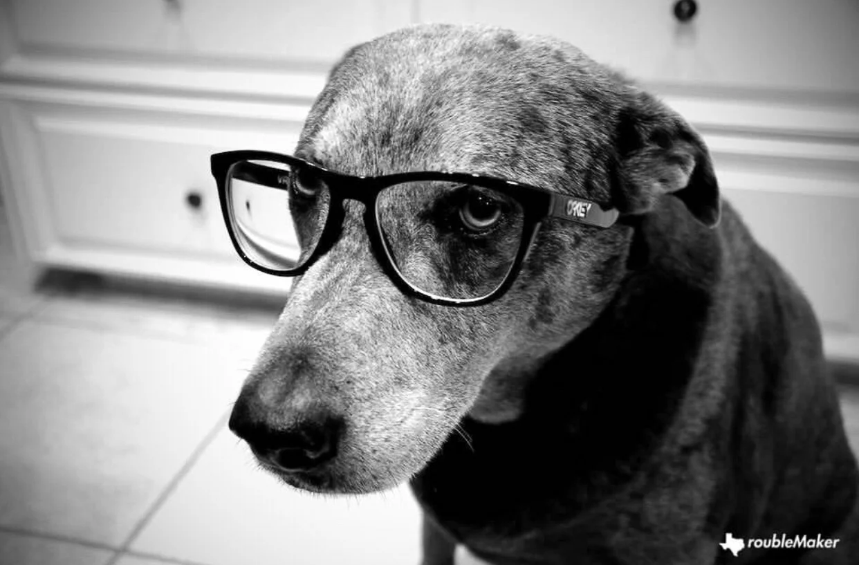 bo hipster-1.jpg