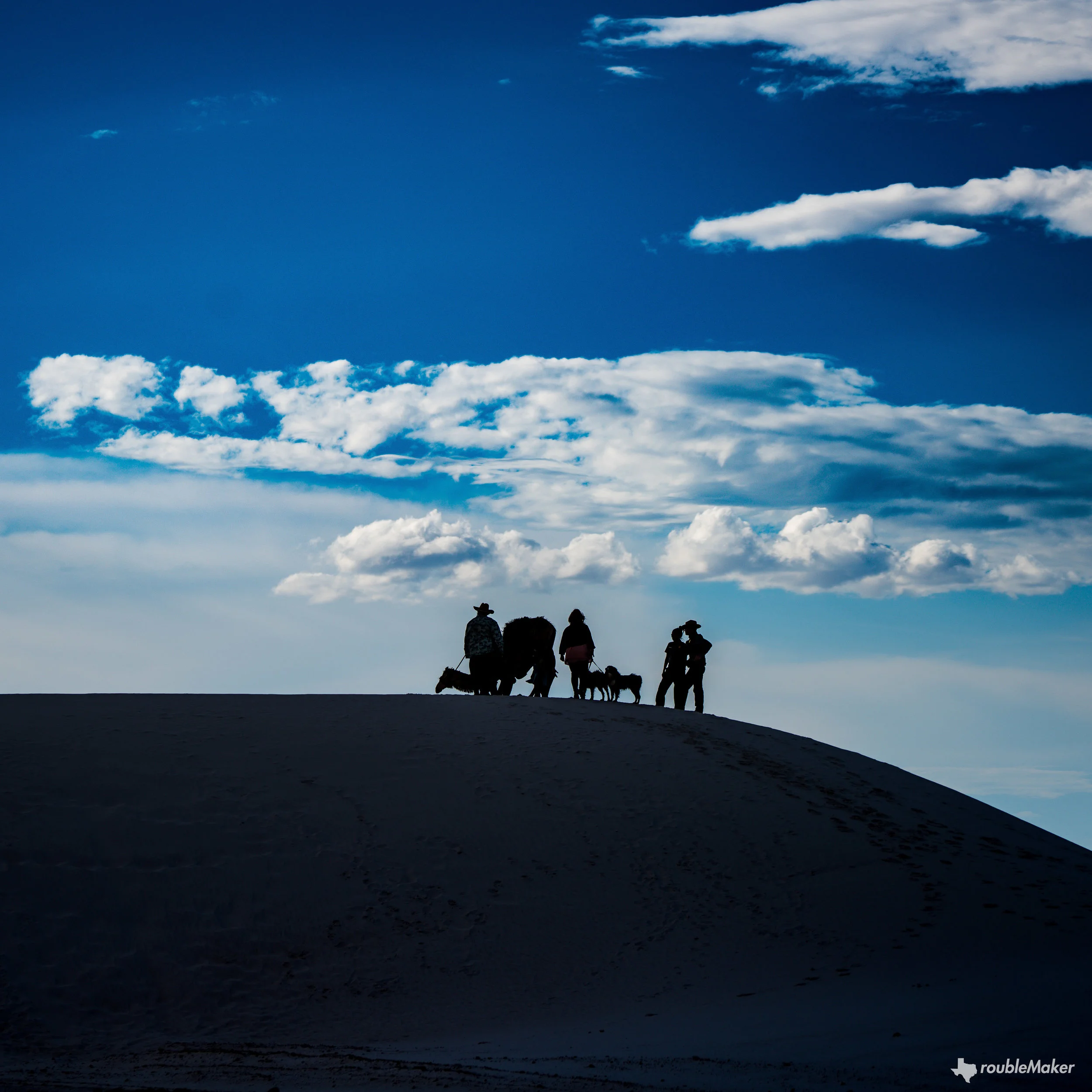 white sands camel-1.jpg