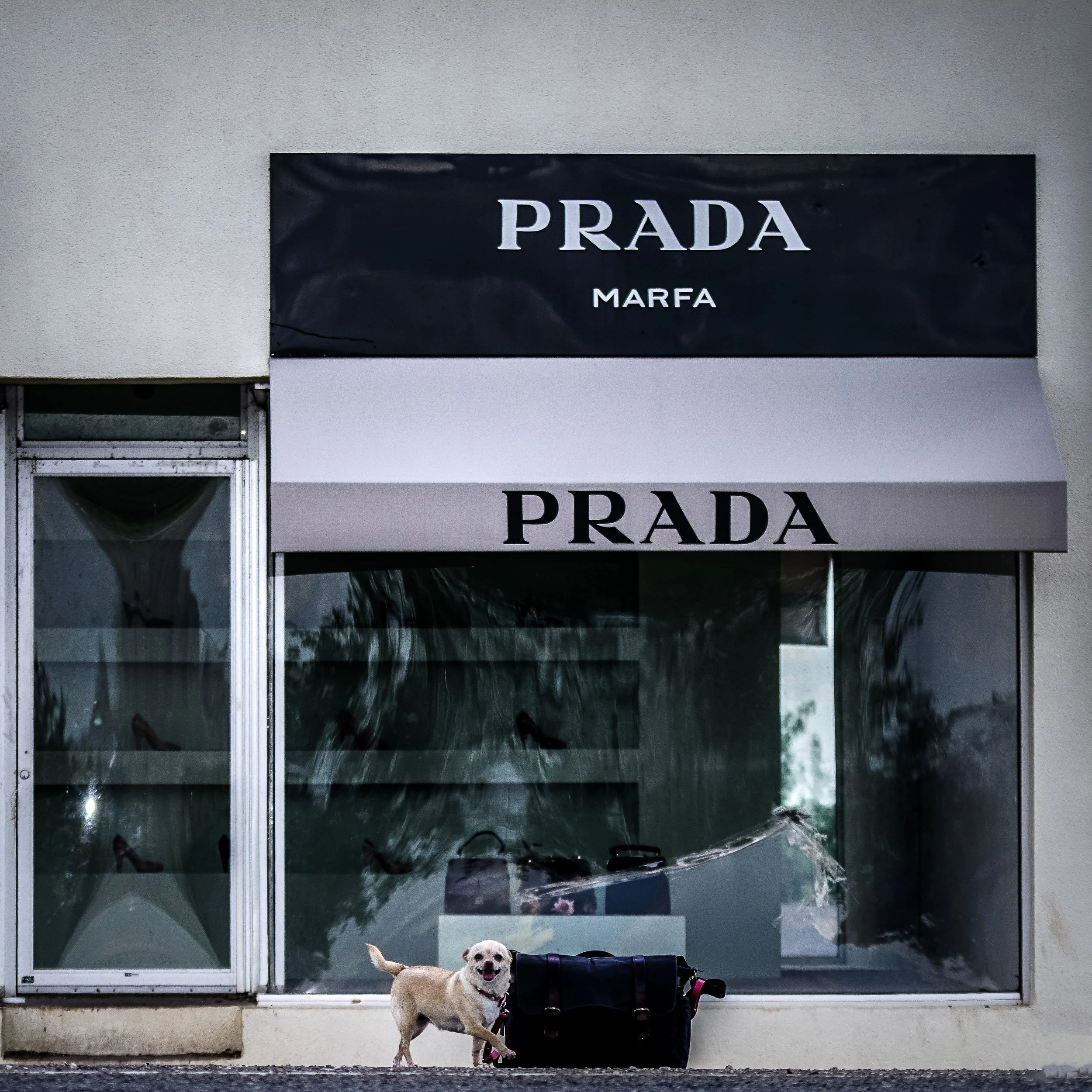 chquita prada-1.jpg